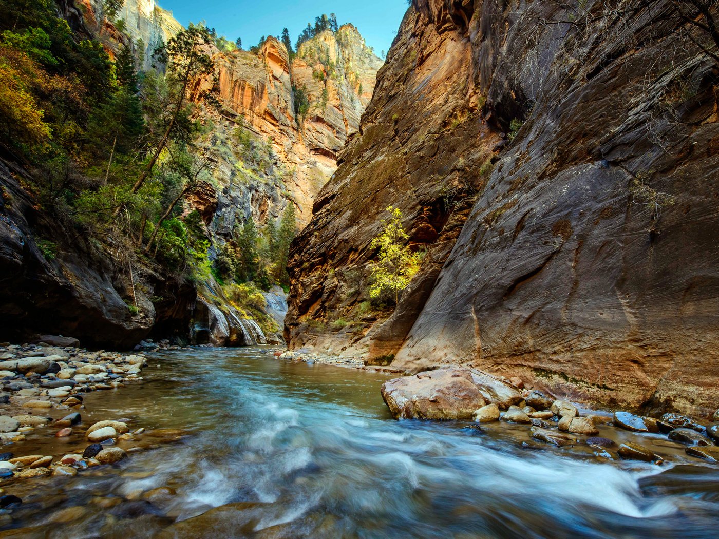 Обои река, скалы, ущелье, zion national park, river, rocks, gorge разрешение 6393x4751 Загрузить