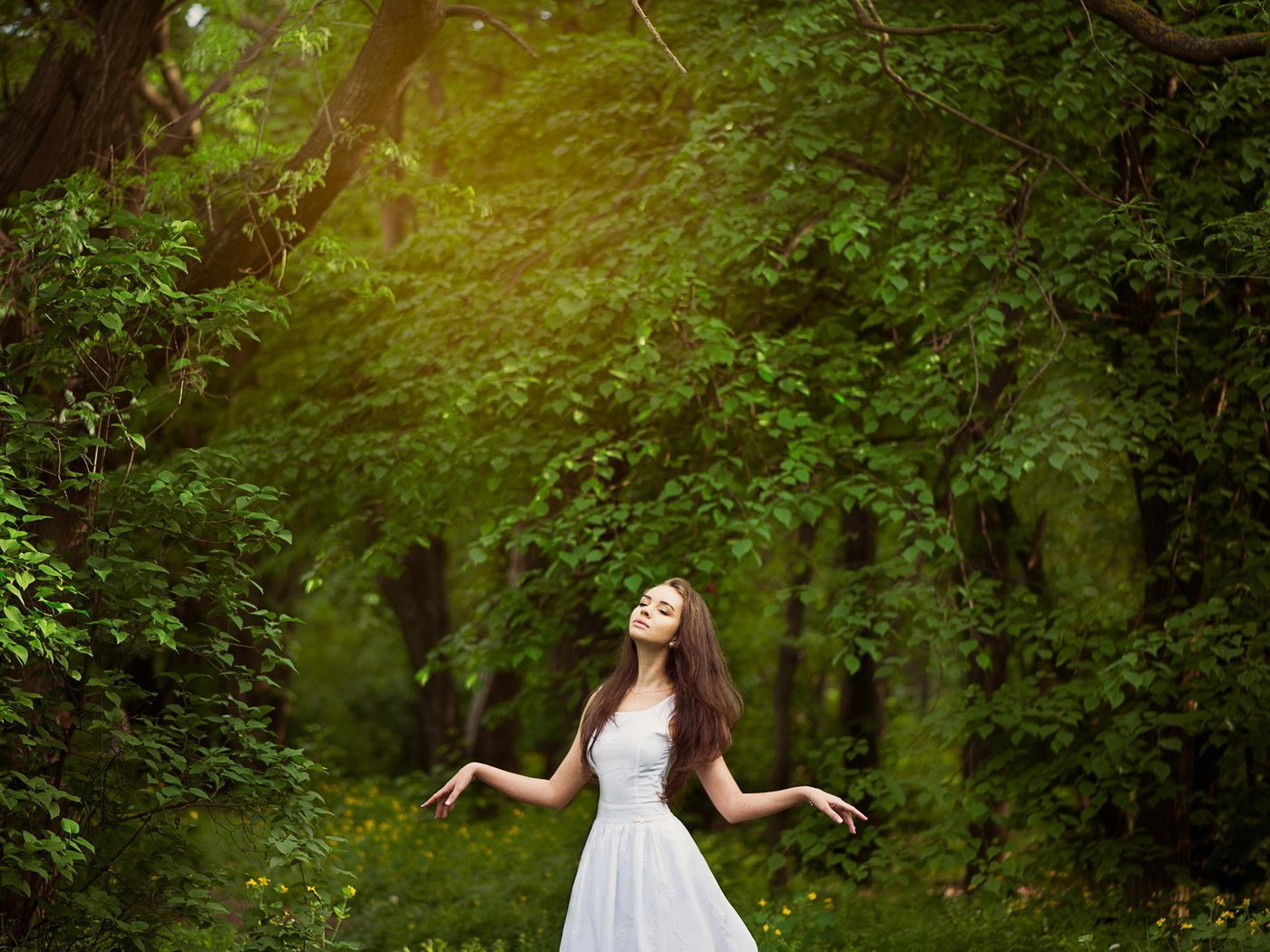 Обои деревья, лес, девушка, настроение, шатенка, trees, forest, girl, mood, brown hair разрешение 2048x1362 Загрузить