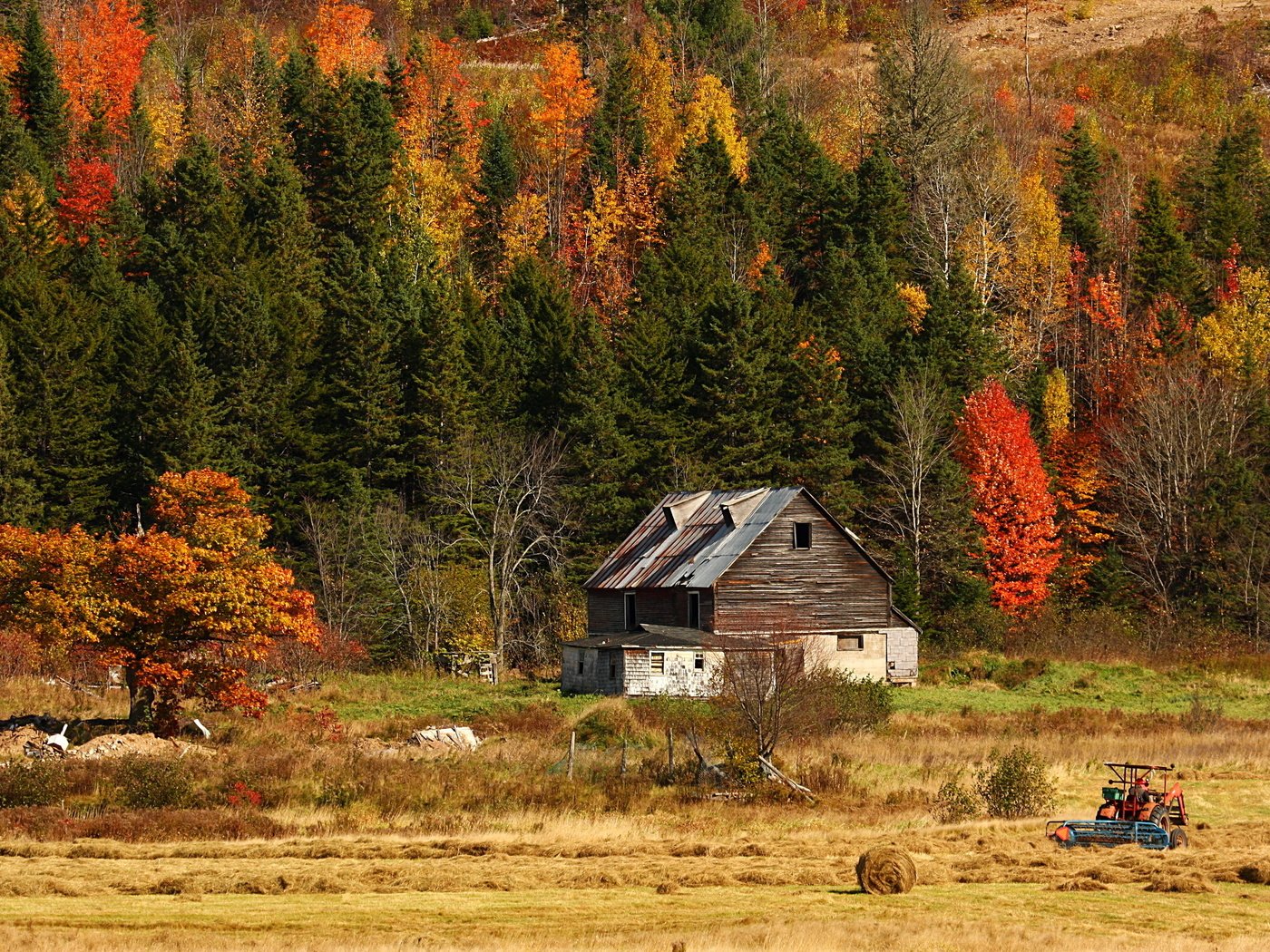 Обои природа, лес, поле, сено, осень, дом, трактор, nature, forest, field, hay, autumn, house, tractor разрешение 2592x1728 Загрузить