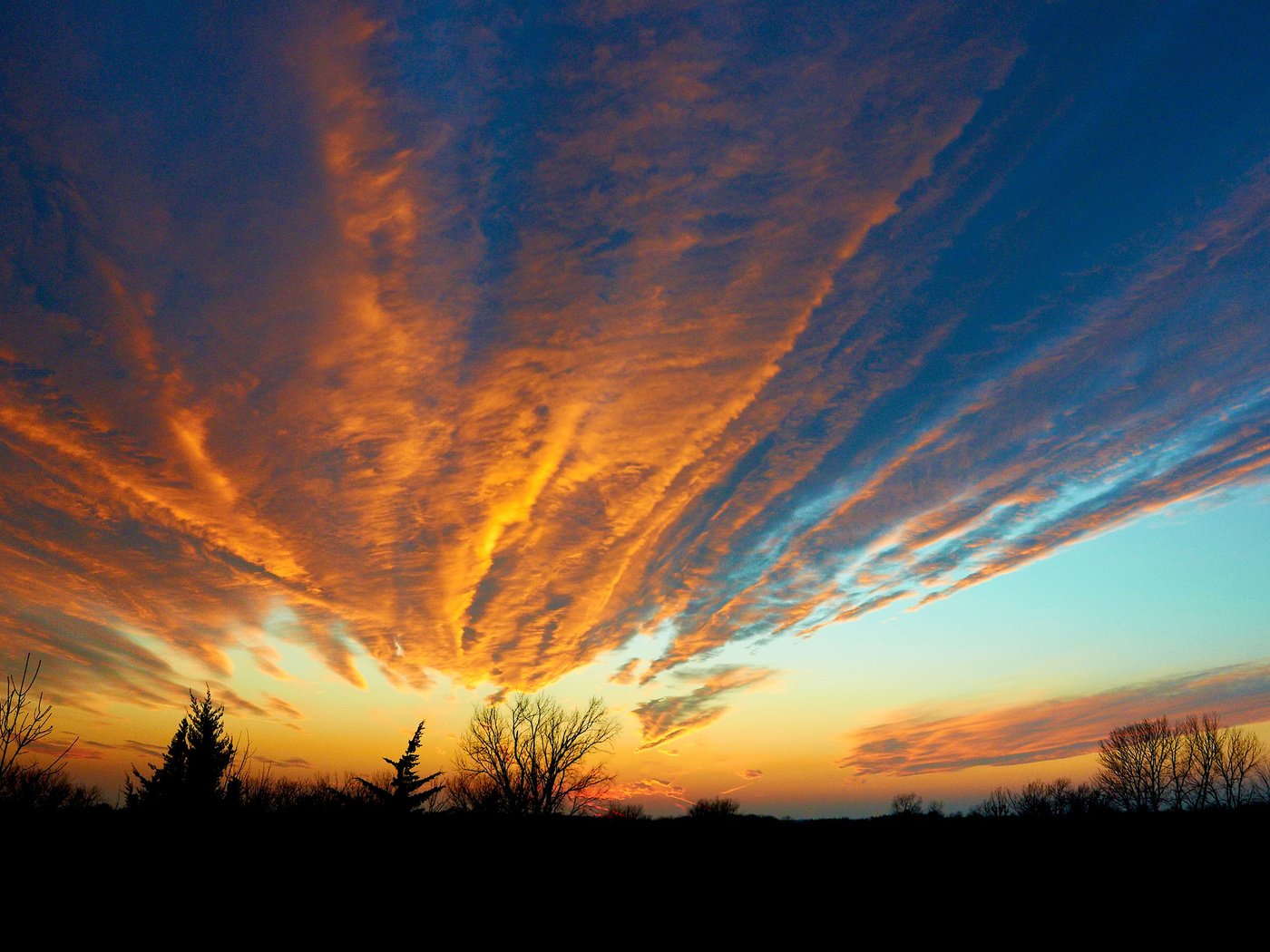 Обои небо, деревья, пейзаж, силуэт, зарево, the sky, trees, landscape, silhouette, glow разрешение 2048x1360 Загрузить