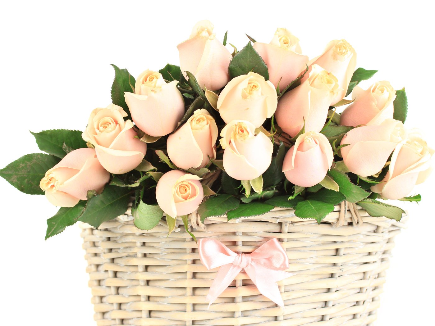 Обои бутоны, розы, букет, корзина, корзинка, бантик, buds, roses, bouquet, basket, bow разрешение 4806x3384 Загрузить