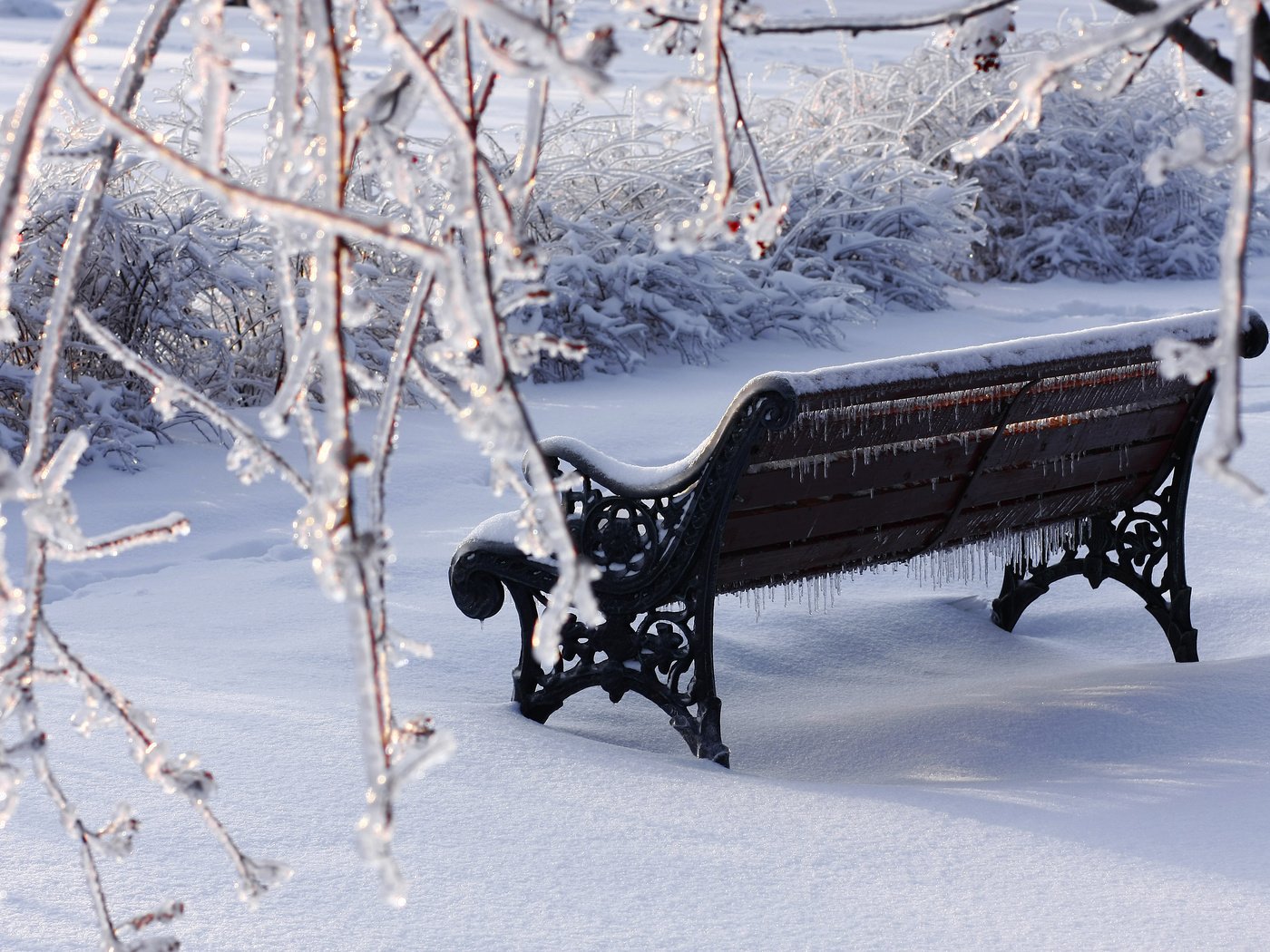 Обои снег, зима, парк, ветки, лёд, скамейка, snow, winter, park, branches, ice, bench разрешение 3888x2592 Загрузить