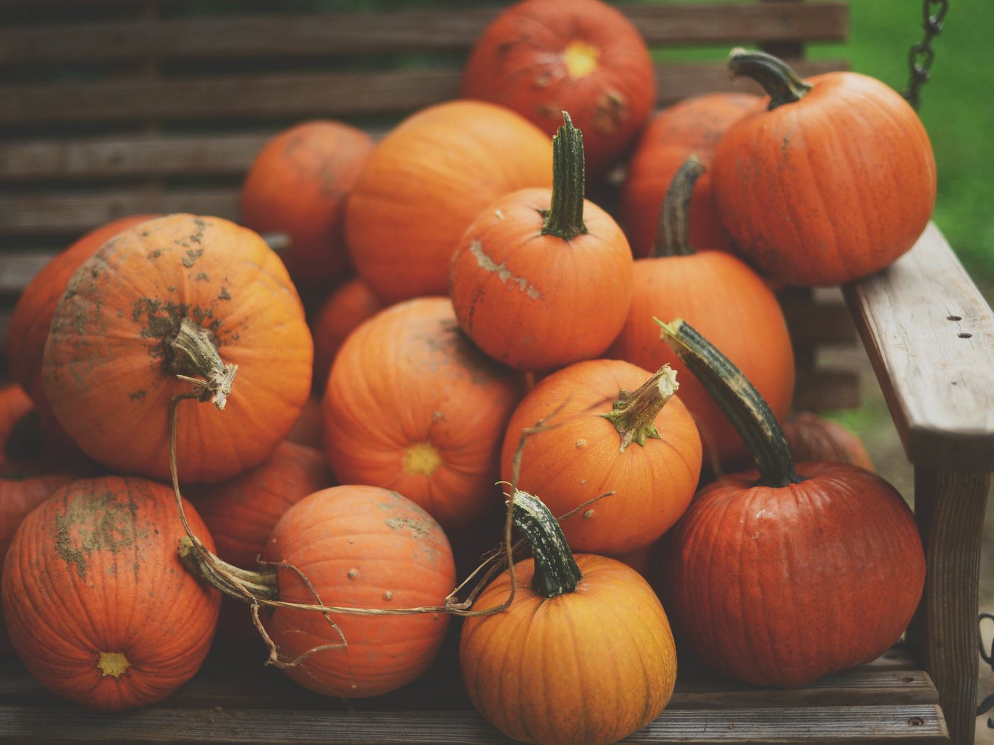 Обои скамейка, урожай, овощи, тыква, bench, harvest, vegetables, pumpkin разрешение 3008x2008 Загрузить