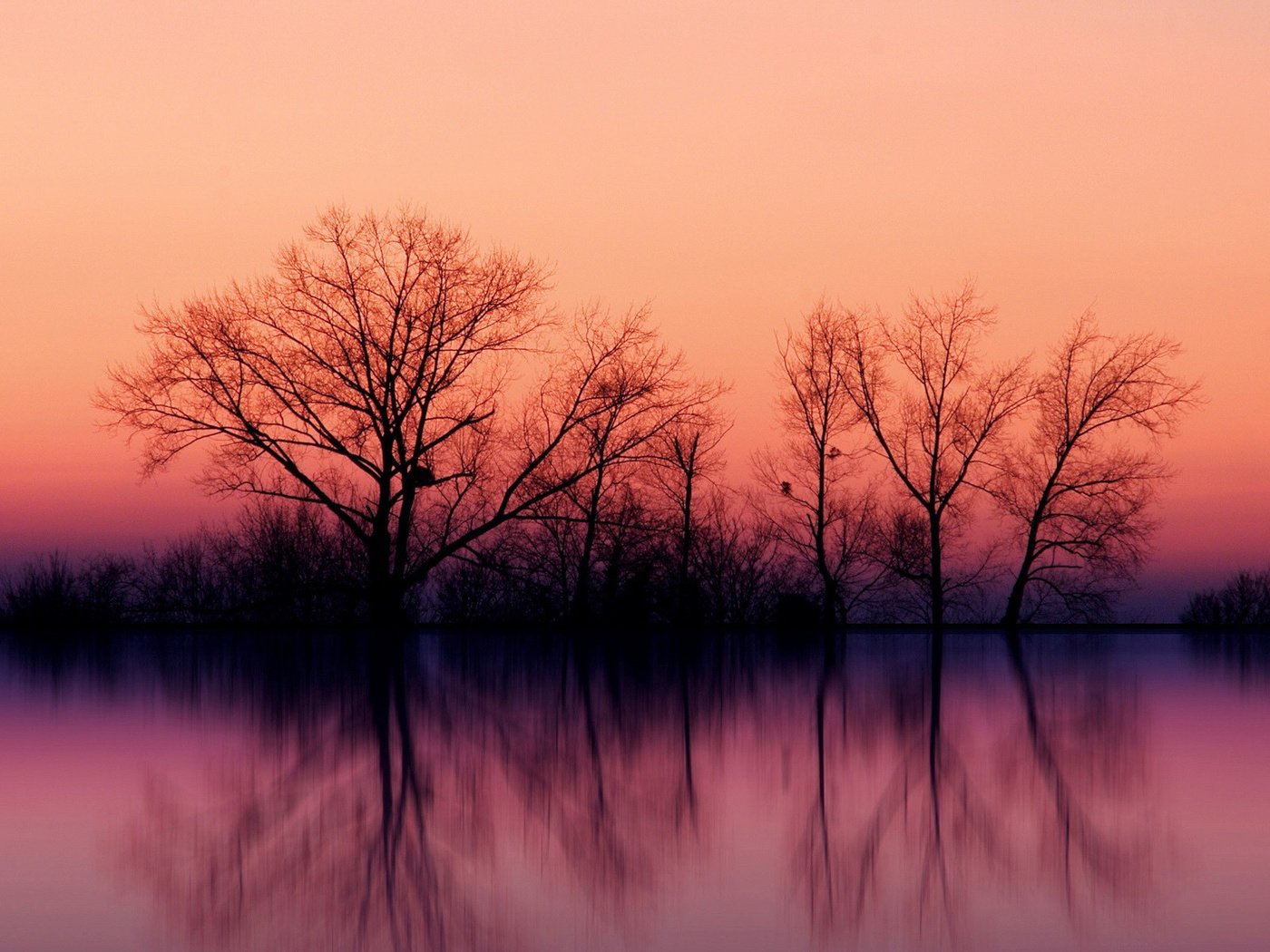 Обои небо, деревья, вода, озеро, закат, отражение, осень, the sky, trees, water, lake, sunset, reflection, autumn разрешение 1920x1200 Загрузить