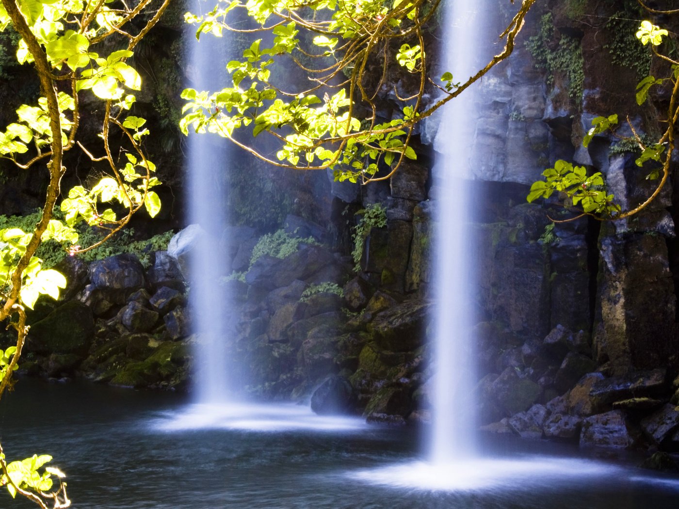 Обои свет, вода, скалы, камни, ветки, водопад, light, water, rocks, stones, branches, waterfall разрешение 3672x2537 Загрузить