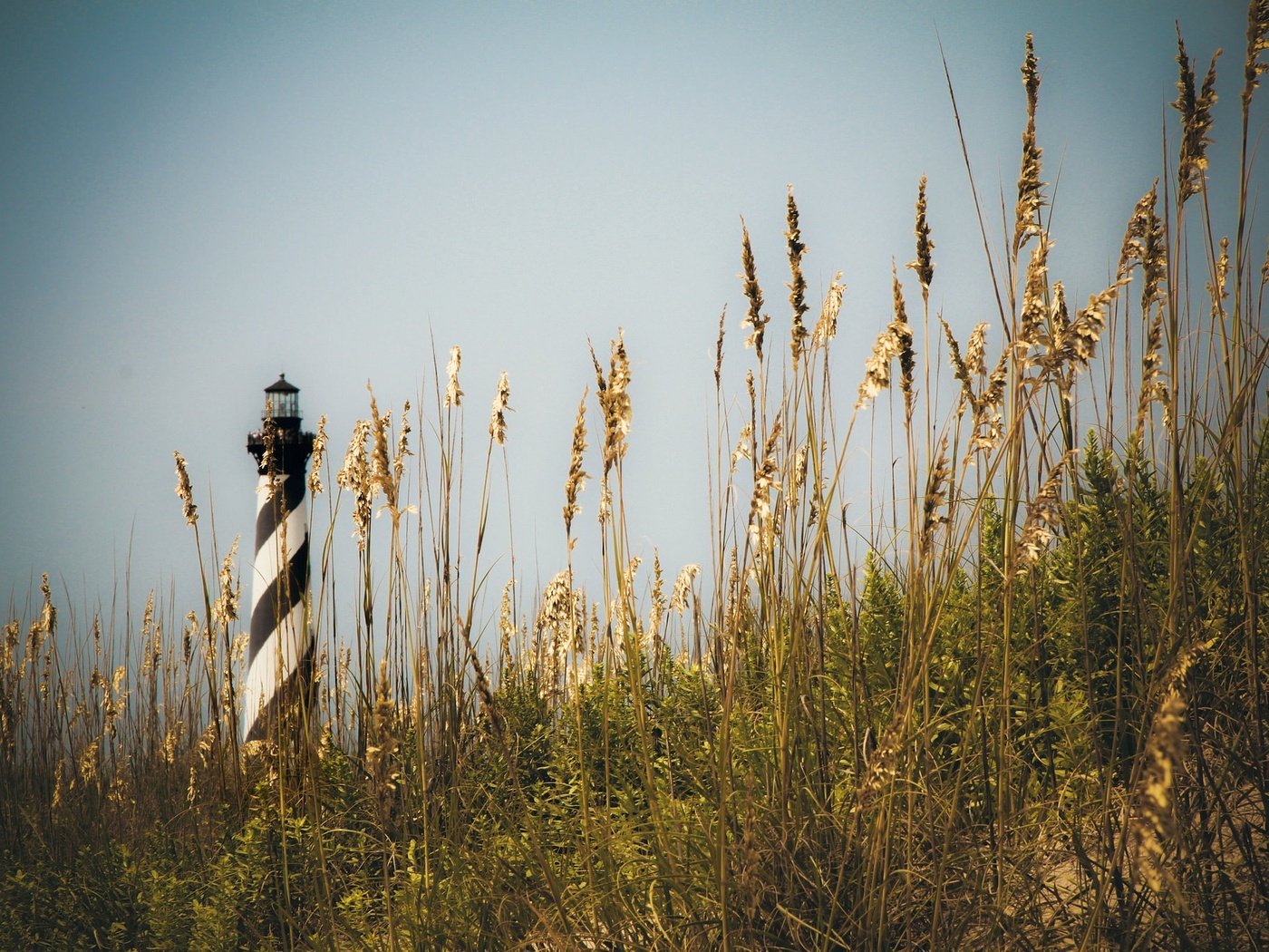 Обои небо, трава, природа, пейзаж, маяк, колоски, the sky, grass, nature, landscape, lighthouse, spikelets разрешение 2048x1365 Загрузить