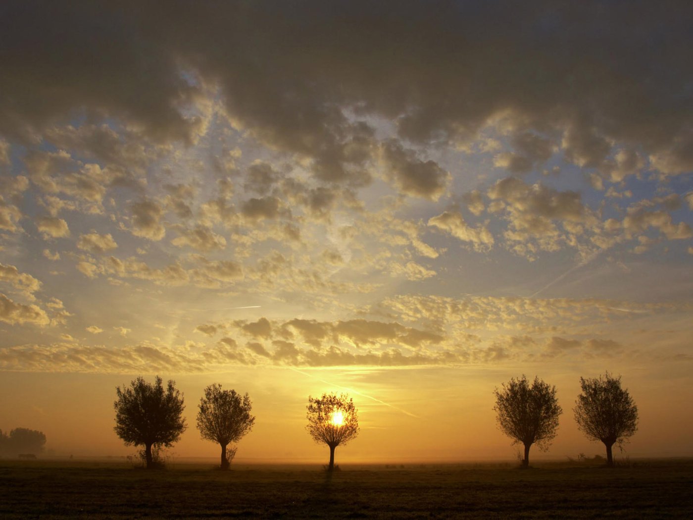 Обои небо, деревья, закат, пейзаж, поле, the sky, trees, sunset, landscape, field разрешение 1920x1200 Загрузить