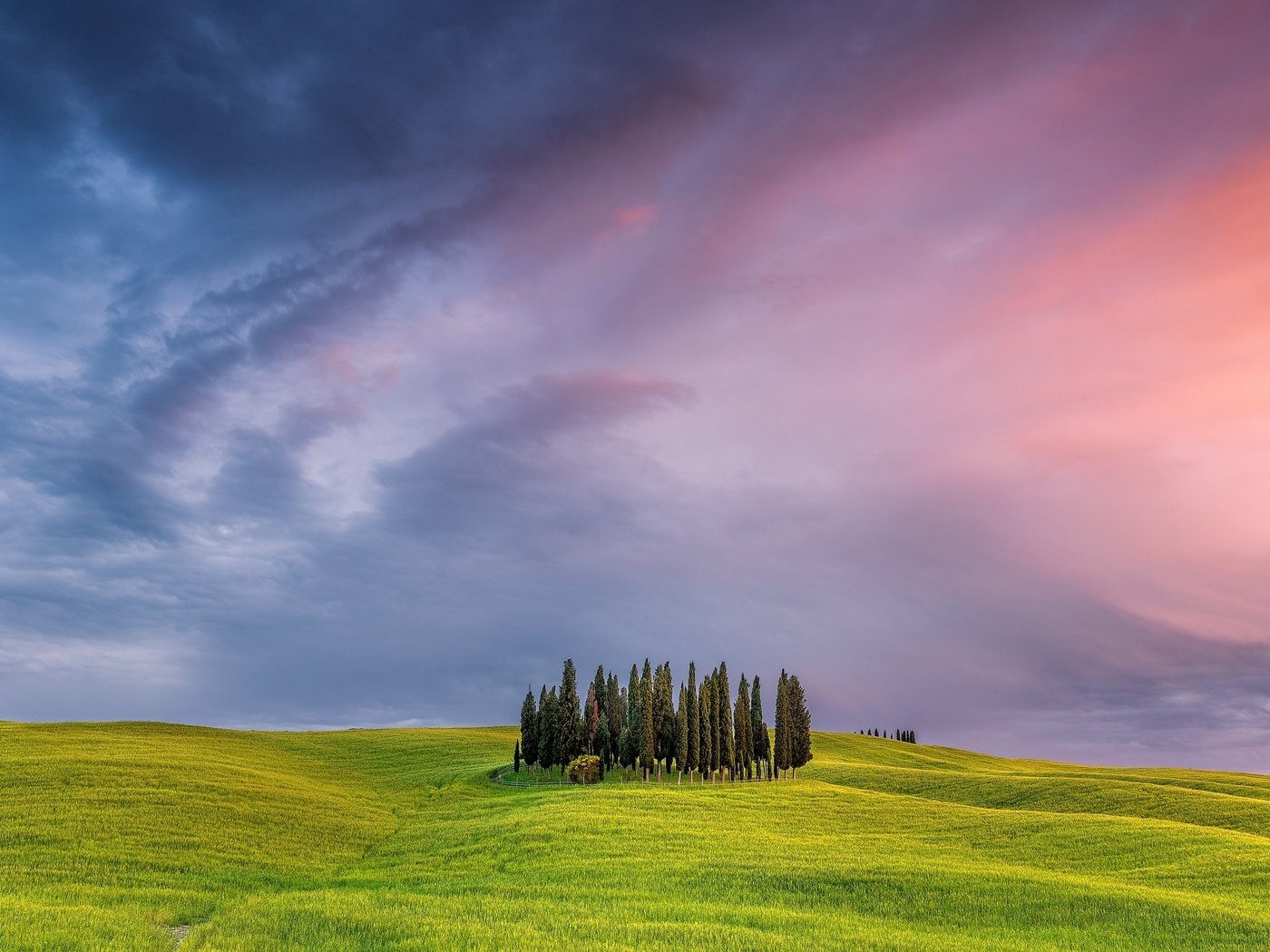 Обои трава, деревья, закат, поле, италия, тоскана, grass, trees, sunset, field, italy, tuscany разрешение 2000x1334 Загрузить