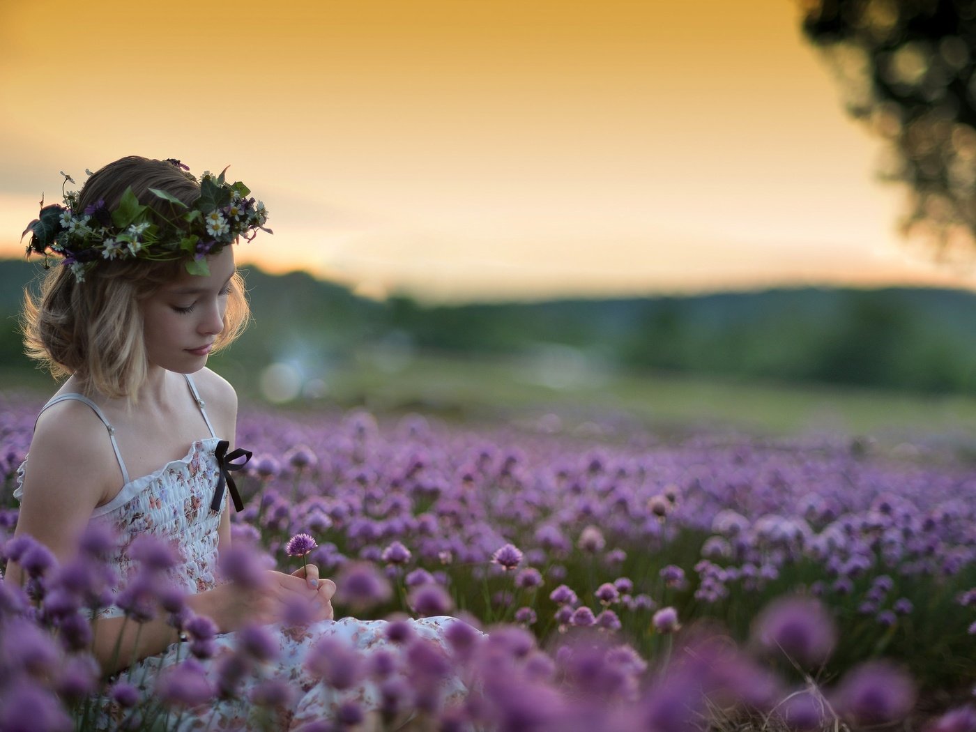 Обои цветы, девочка, венок, flowers, girl, wreath разрешение 2048x1297 Загрузить