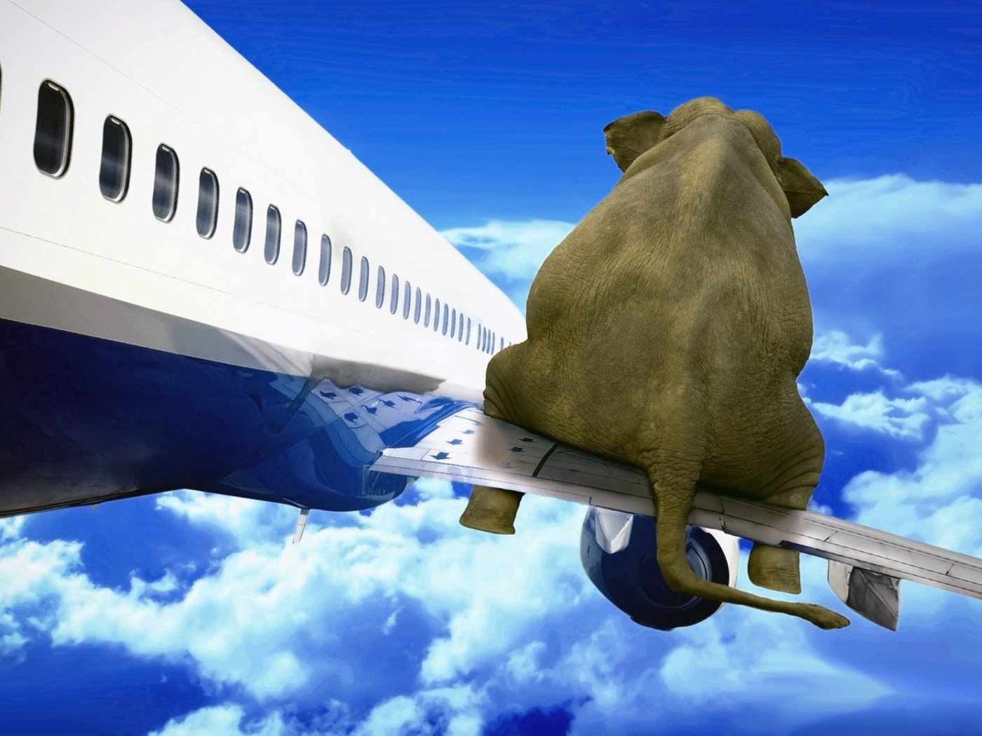 Обои небо, облака, самолет, слон, the sky, clouds, the plane, elephant разрешение 1920x1200 Загрузить