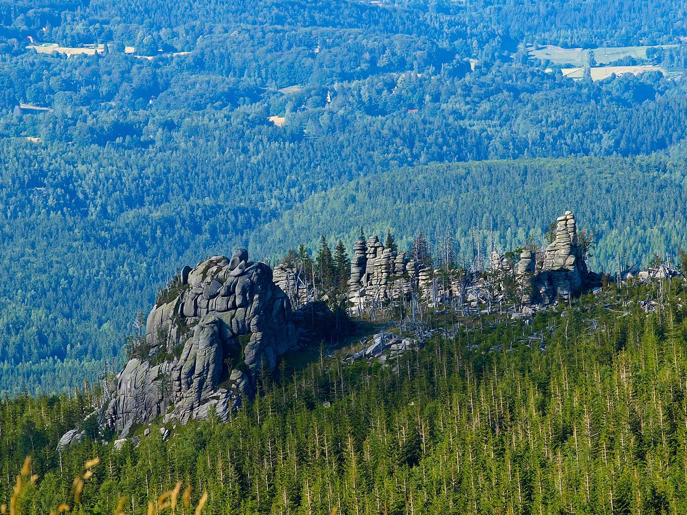 Обои деревья, скалы, природа, лес, пейзаж, trees, rocks, nature, forest, landscape разрешение 2560x1600 Загрузить