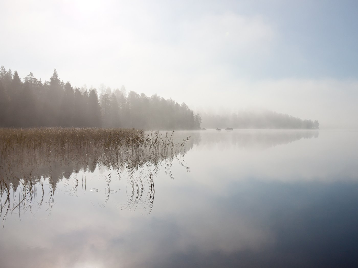 Обои небо, деревья, река, отражение, пейзаж, туман, the sky, trees, river, reflection, landscape, fog разрешение 3360x2100 Загрузить