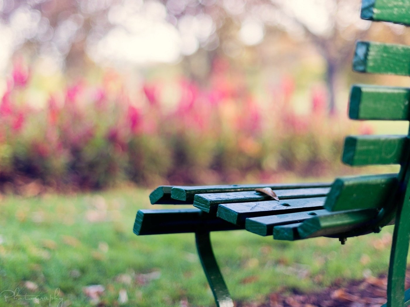 Обои скамейка, настроения, листик, скамья, лавочка, лавка, bench, mood, leaf, shop разрешение 1920x1200 Загрузить