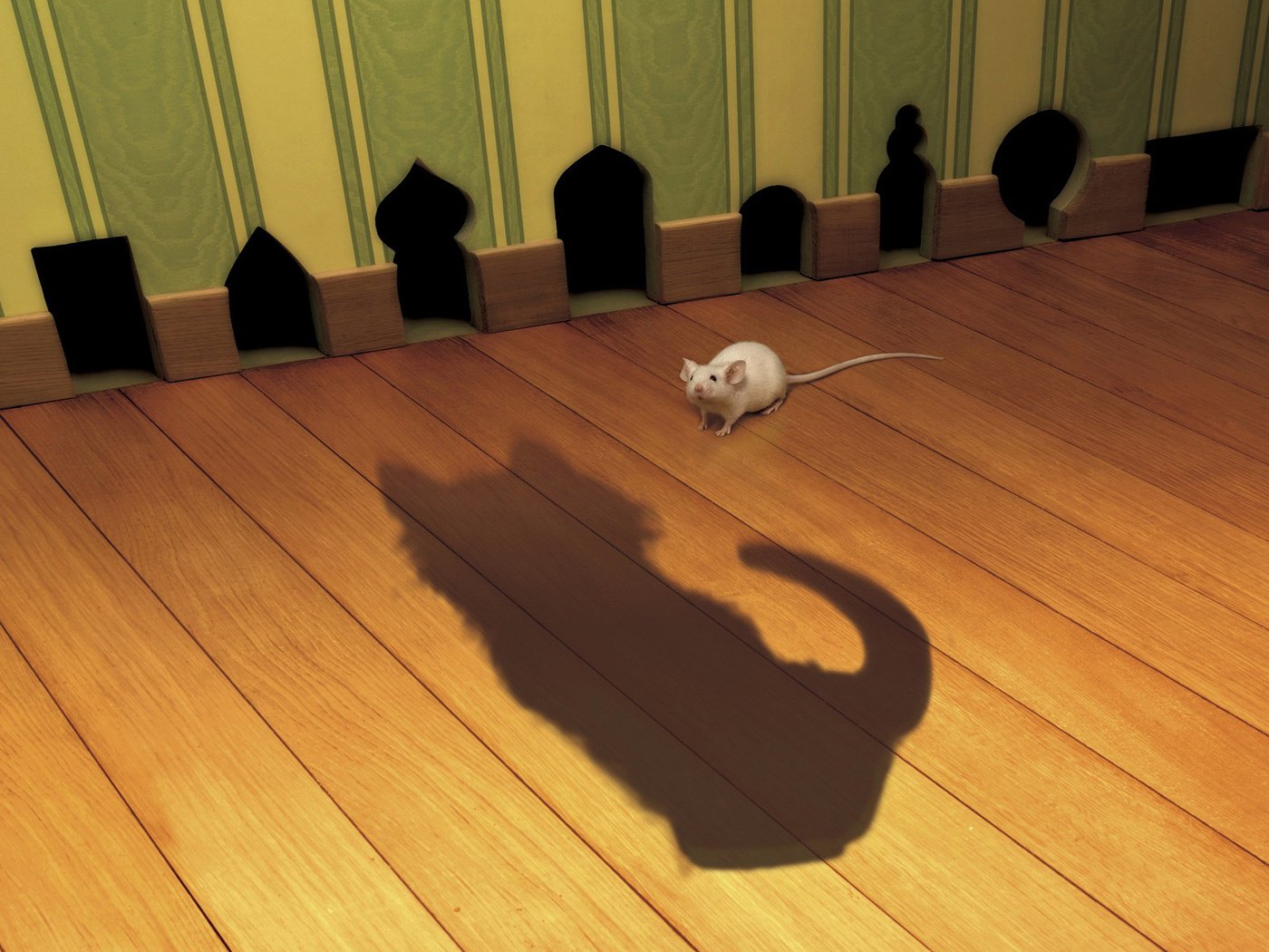 Обои кот, тень, мышь, cat, shadow, mouse разрешение 1920x1200 Загрузить