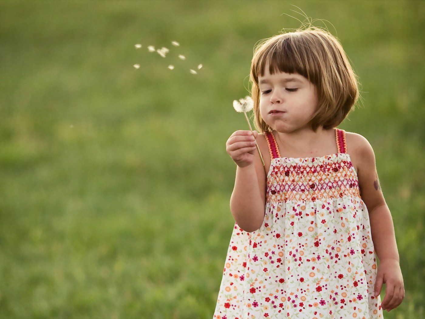 Обои настроение, дети, девочка, одуванчик, mood, children, girl, dandelion разрешение 1920x1200 Загрузить