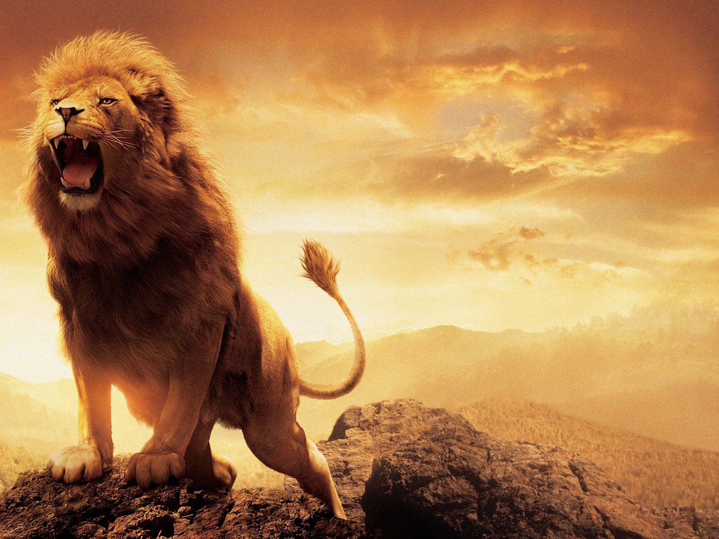 Лев царь зверей картинки