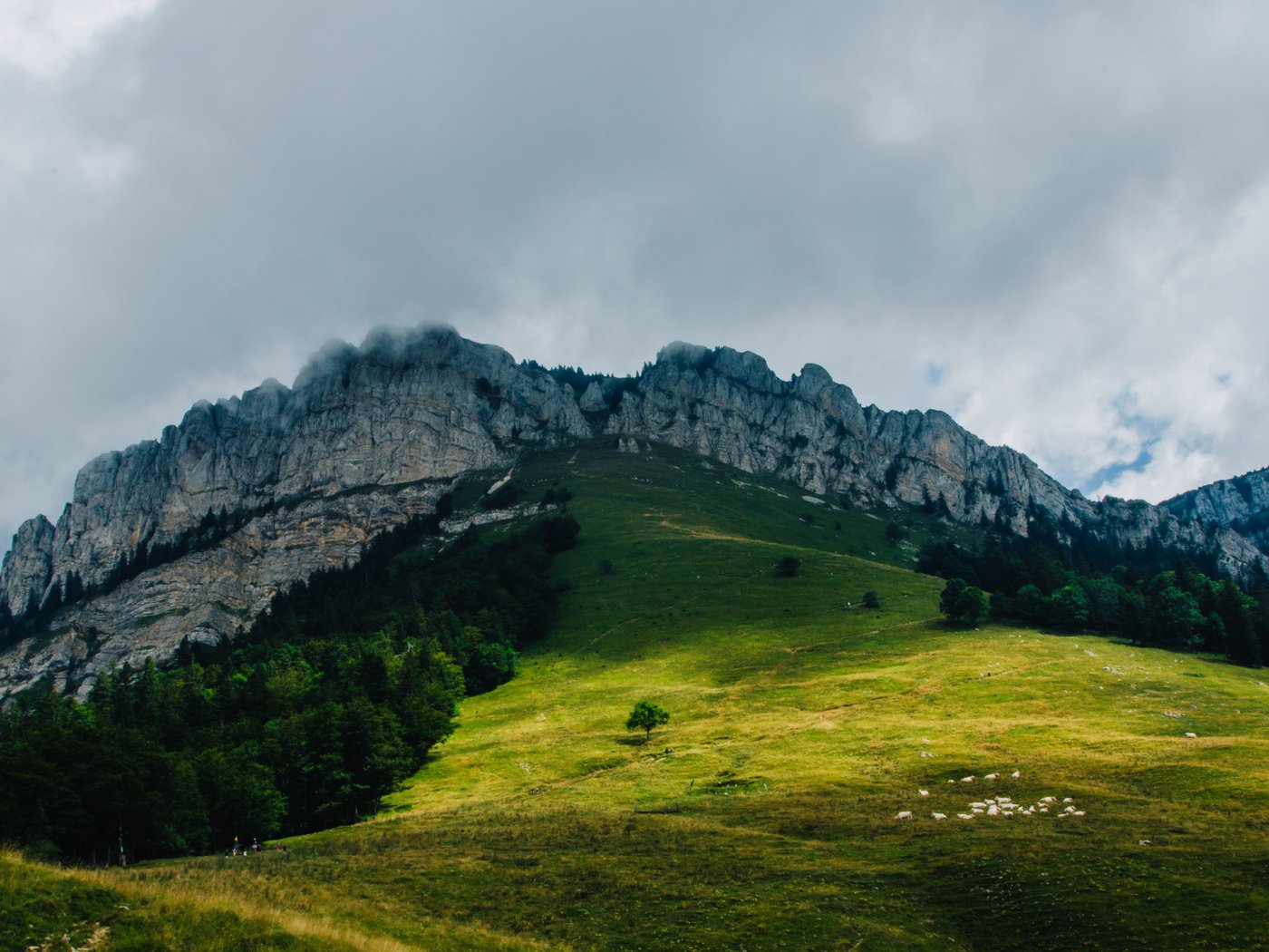 Обои деревья, горы, холмы, природа, trees, mountains, hills, nature разрешение 2048x1362 Загрузить