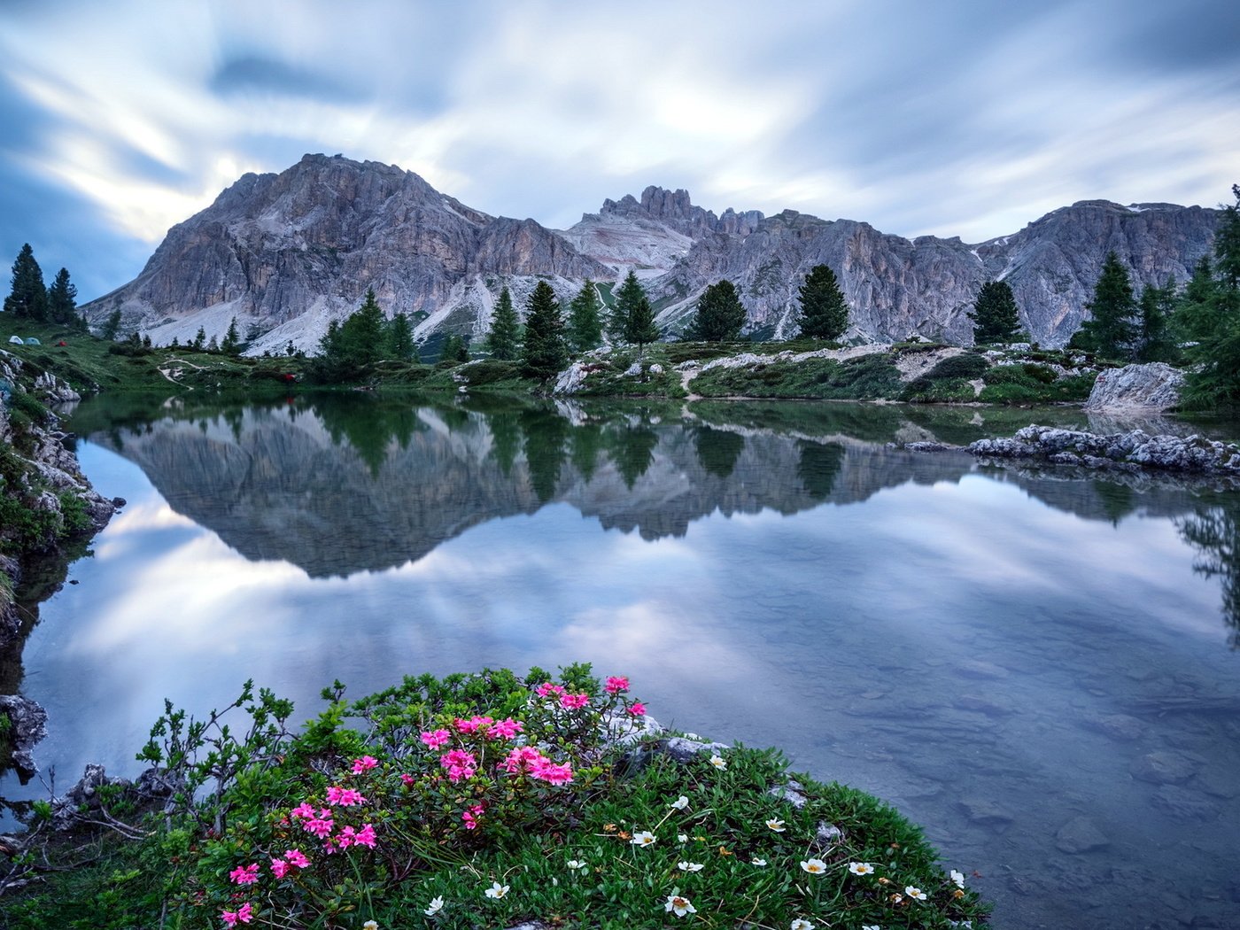 Обои цветы, озеро, горы, пейзаж, flowers, lake, mountains, landscape разрешение 1920x1200 Загрузить
