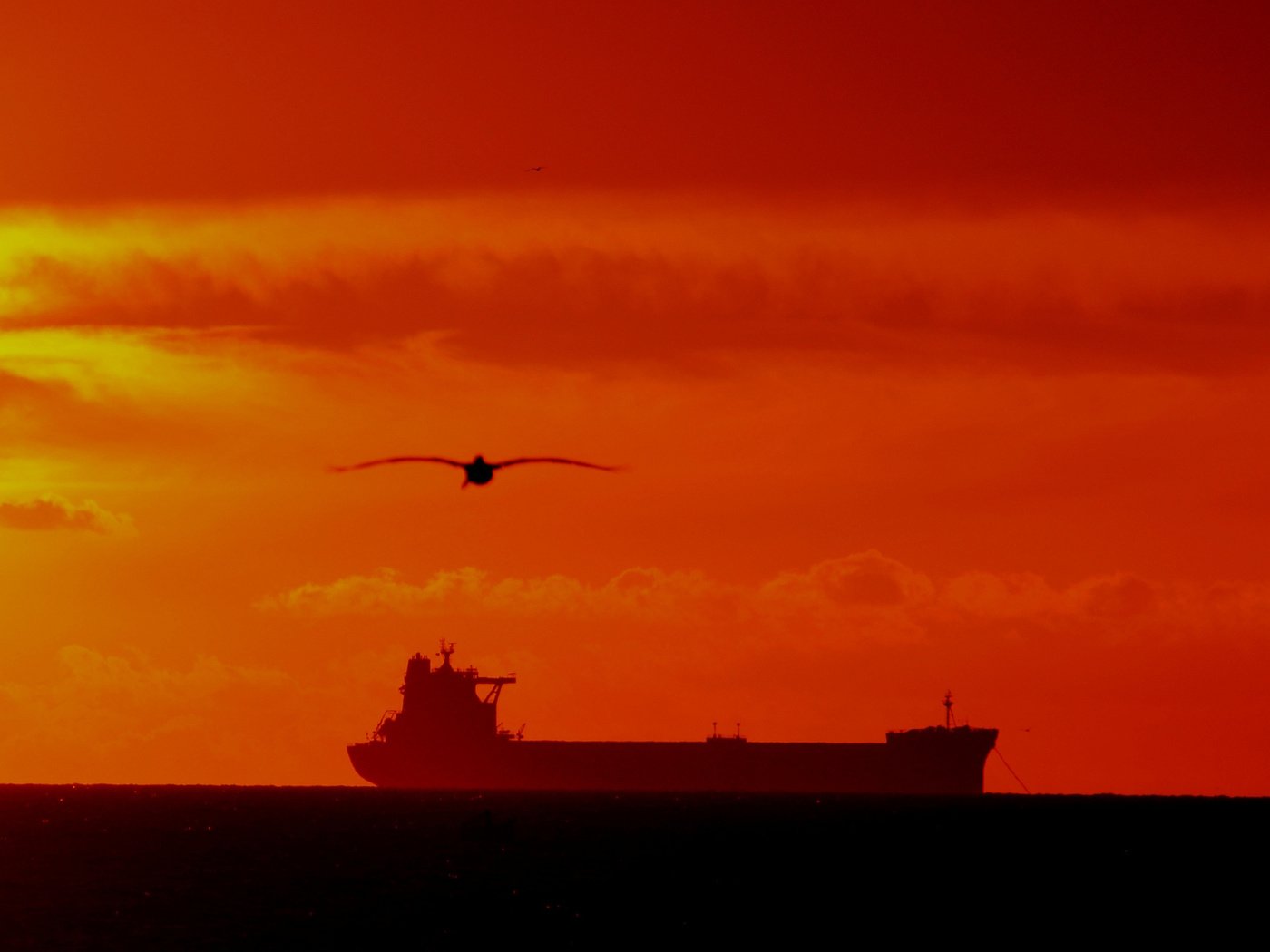 Обои закат, море, корабль, чайки, sunset, sea, ship, seagulls разрешение 2048x1310 Загрузить