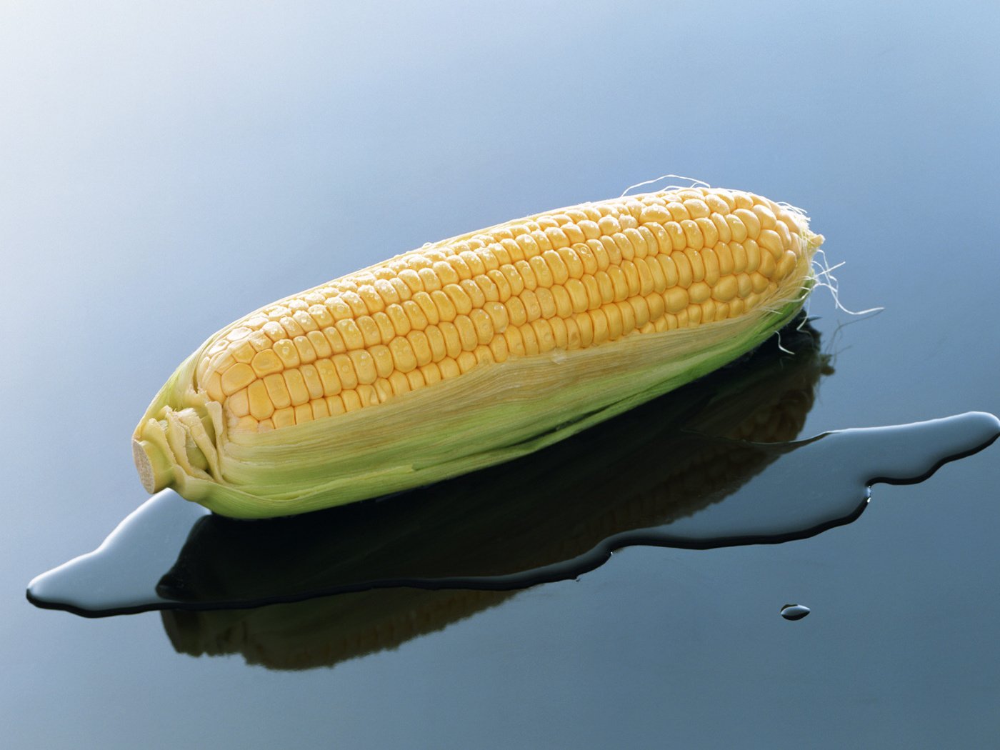 Обои вода, природа, кукуруза, початок, water, nature, corn, the cob разрешение 1920x1080 Загрузить