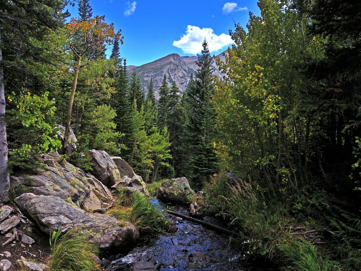 Обои деревья, река, горы, скалы, лес, пейзаж, осень, rocky mountain national park, trees, river, mountains, rocks, forest, landscape, autumn разрешение 2880x1908 Загрузить