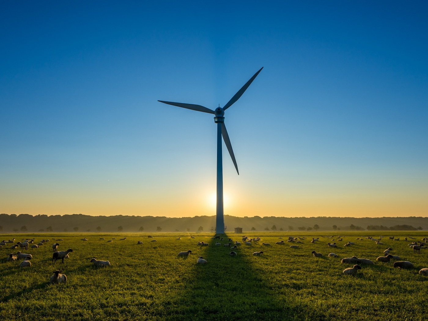 Обои небо, утро, поле, ветряк, овцы, ветряная турбина, the sky, morning, field, windmill, sheep, wind turbine разрешение 1920x1080 Загрузить