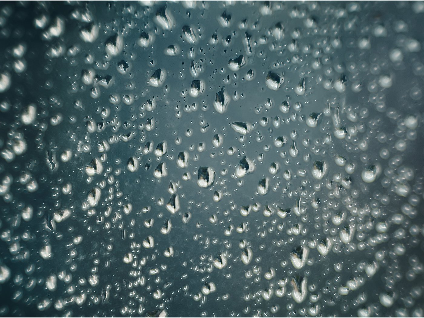 Обои вода, капли, дождь, окно, боке, andrius maciunas, water, drops, rain, window, bokeh разрешение 2048x1281 Загрузить
