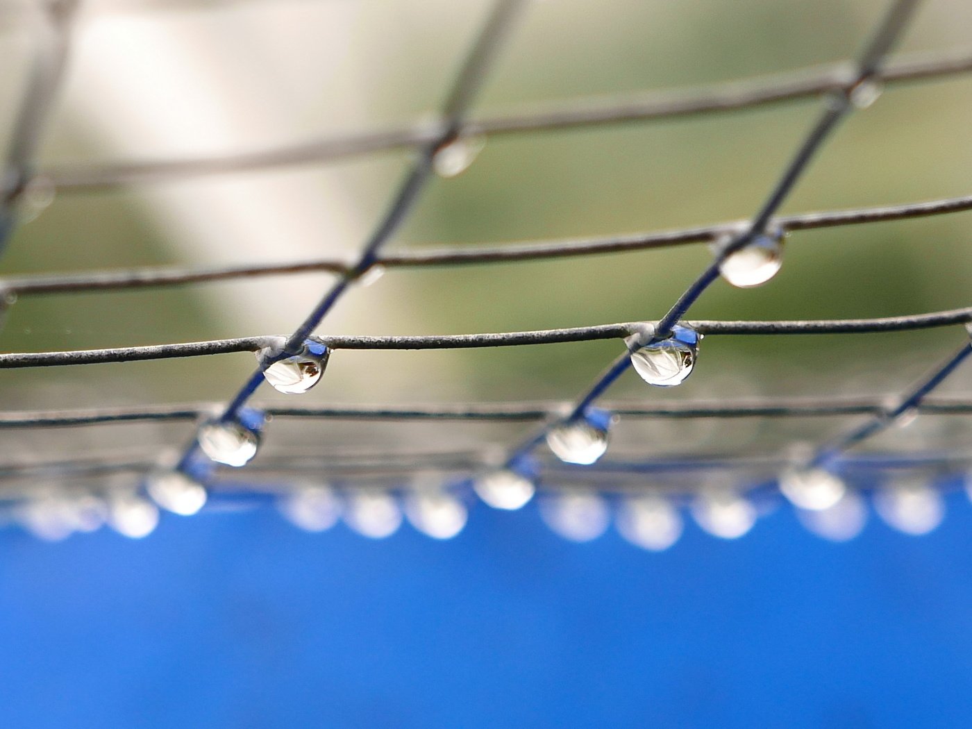 Обои вода, макро, фон, капли, сетка, water, macro, background, drops, mesh разрешение 2560x1440 Загрузить