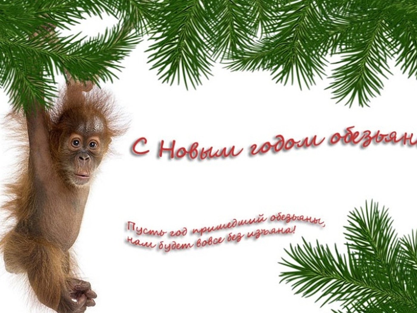 Обои новый год, обезьяна, пожелание, new year, monkey, wish разрешение 1920x1200 Загрузить