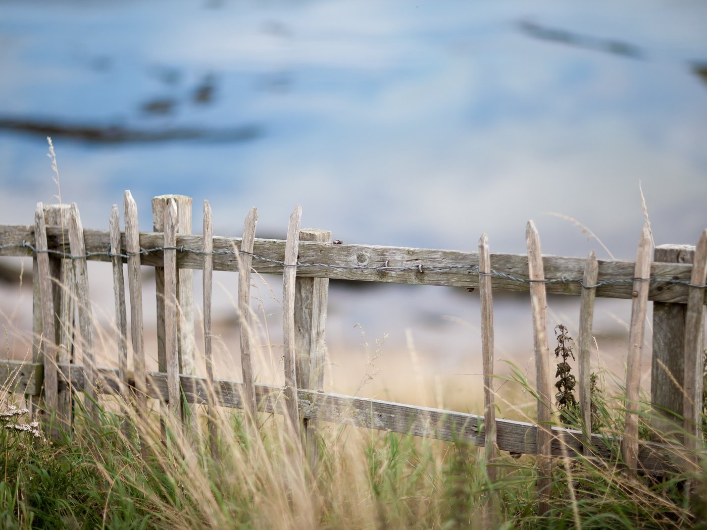 Обои трава, природа, забор, grass, nature, the fence разрешение 2048x1365 Загрузить