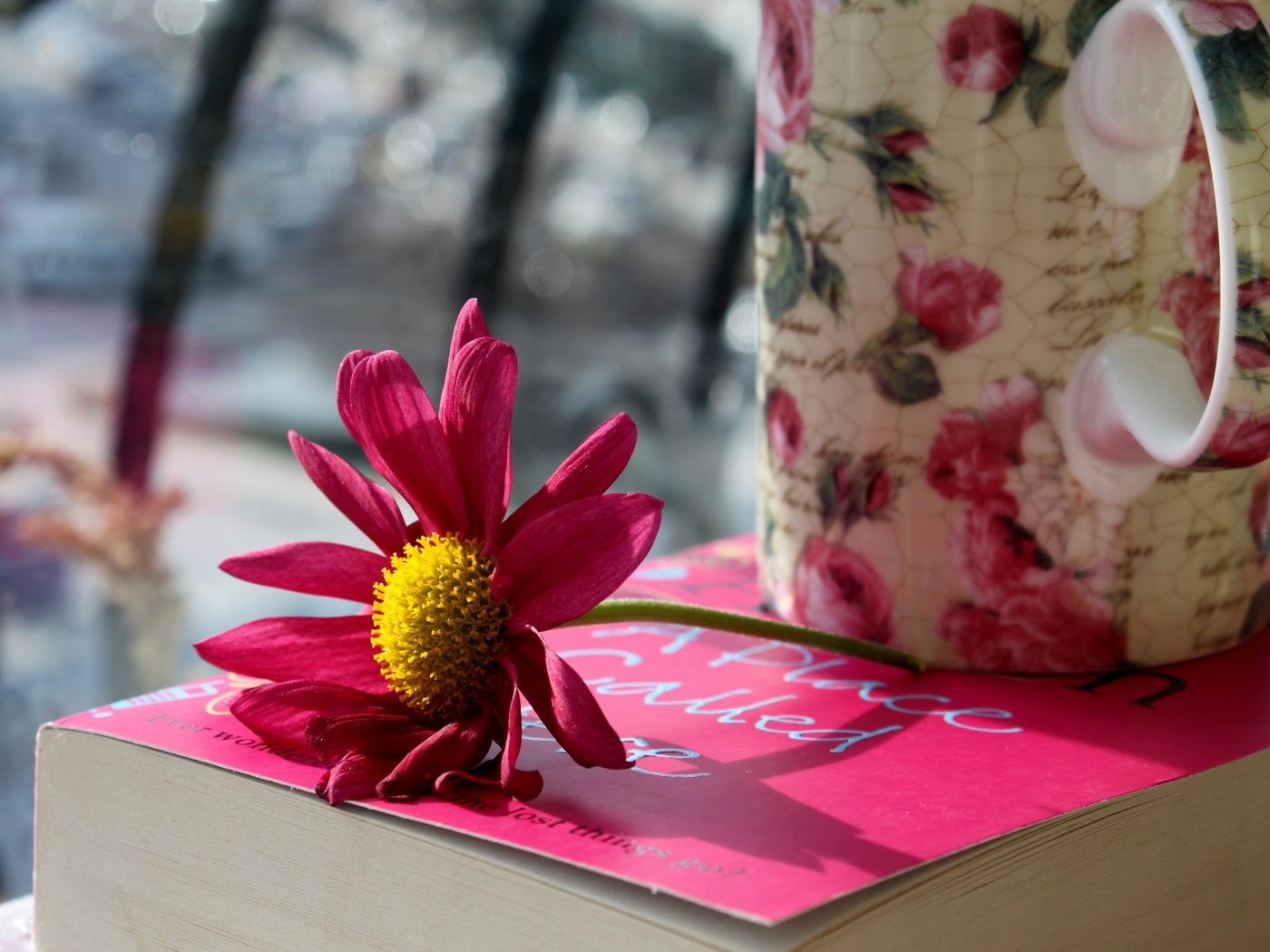 Обои цветок, лепестки, кружка, розовые, чашка, книга, flower, petals, mug, pink, cup, book разрешение 2560x1600 Загрузить