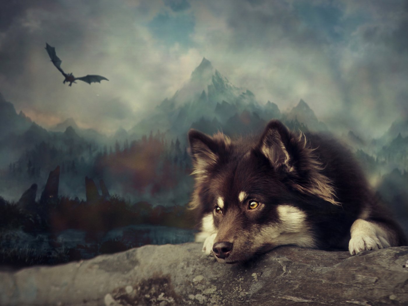 Обои арт, собака, финский лаппхунд, art, dog, finnish lapphund разрешение 3249x1959 Загрузить