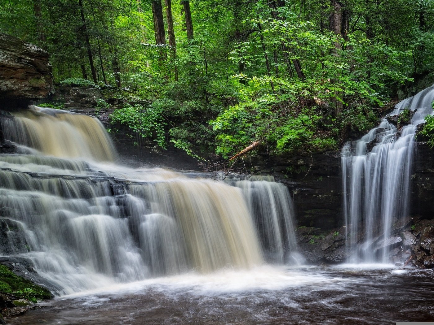 Обои вода, камни, лес, водопад, water, stones, forest, waterfall разрешение 1977x1227 Загрузить