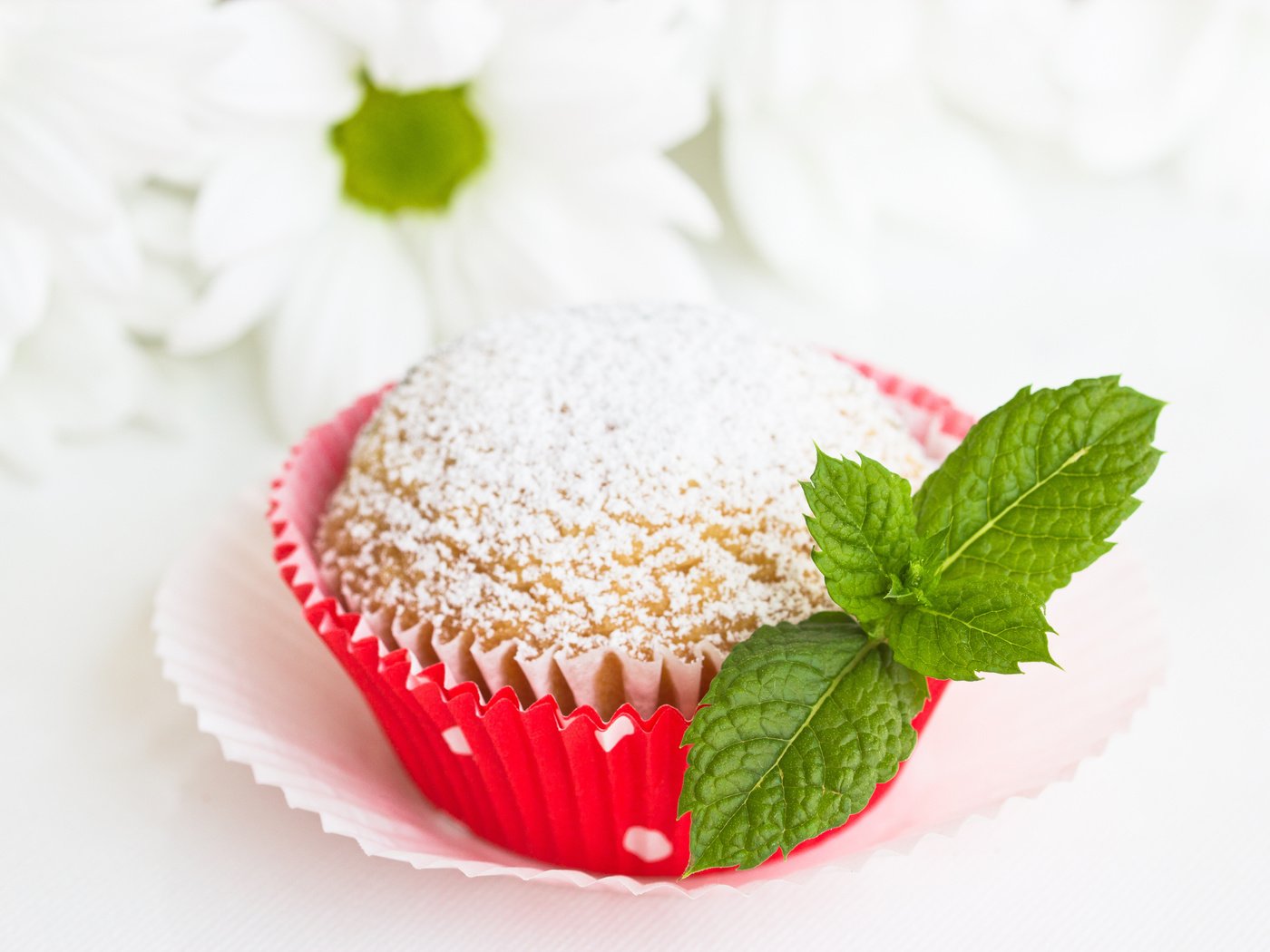 Обои мята, выпечка, сахарная пудра, кекс, mint, cakes, powdered sugar, cupcake разрешение 4838x3456 Загрузить