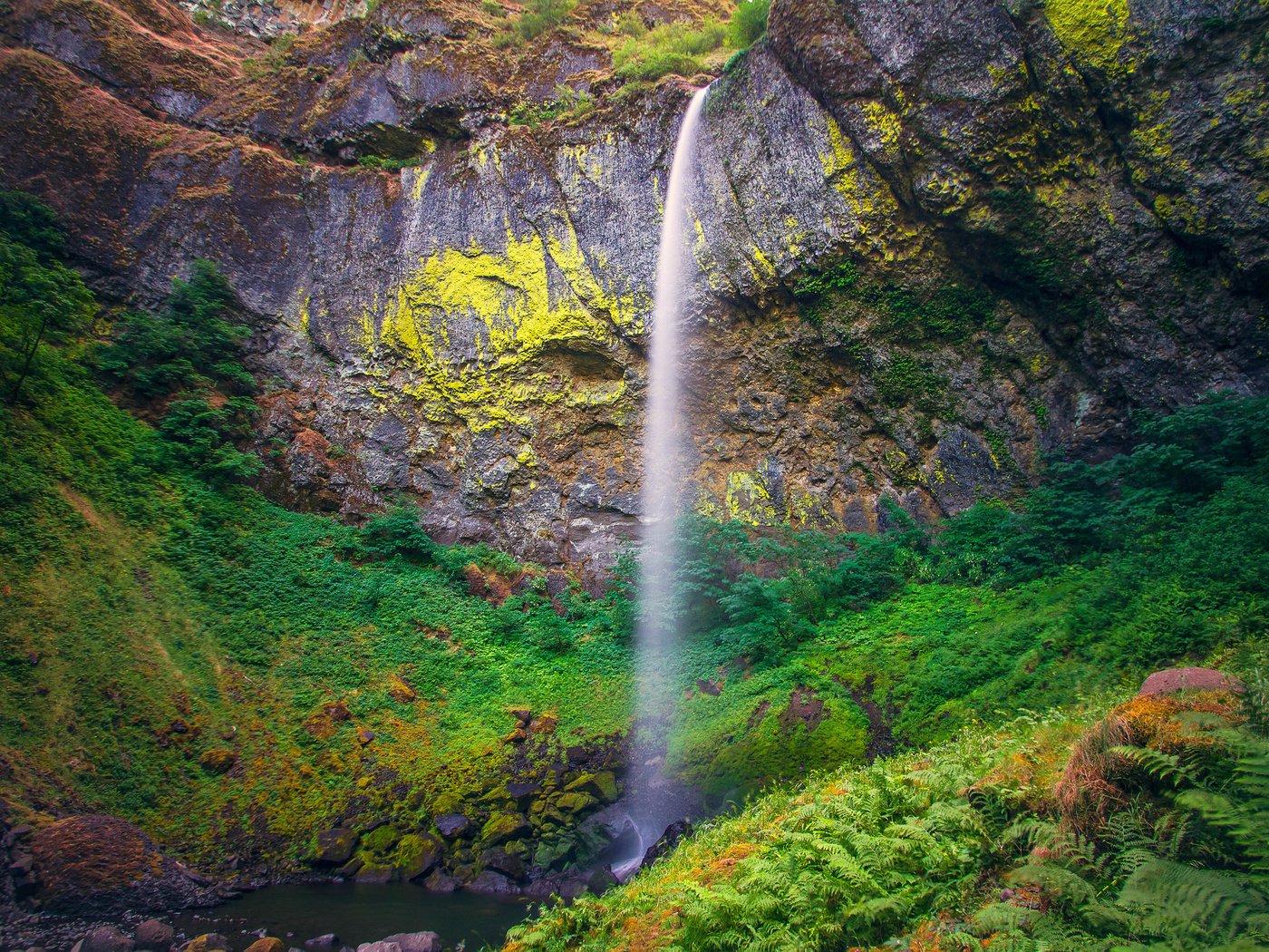 Обои скалы, elowah, камни, растения, водопад, сша, папоротник, орегон, heather west, elowah-falls, rocks, stones, plants, waterfall, usa, fern, oregon разрешение 2048x1365 Загрузить