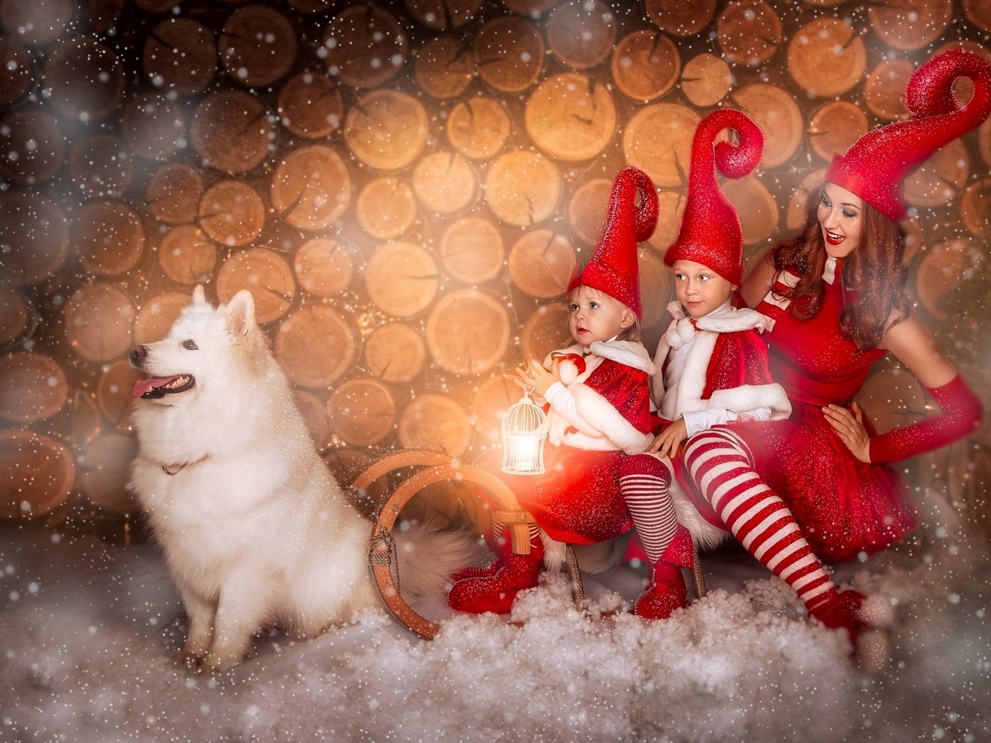 Обои снег, девушка, собака, дети, сани, самоед, колпаки, snow, girl, dog, children, sleigh, samoyed, caps разрешение 1920x1224 Загрузить