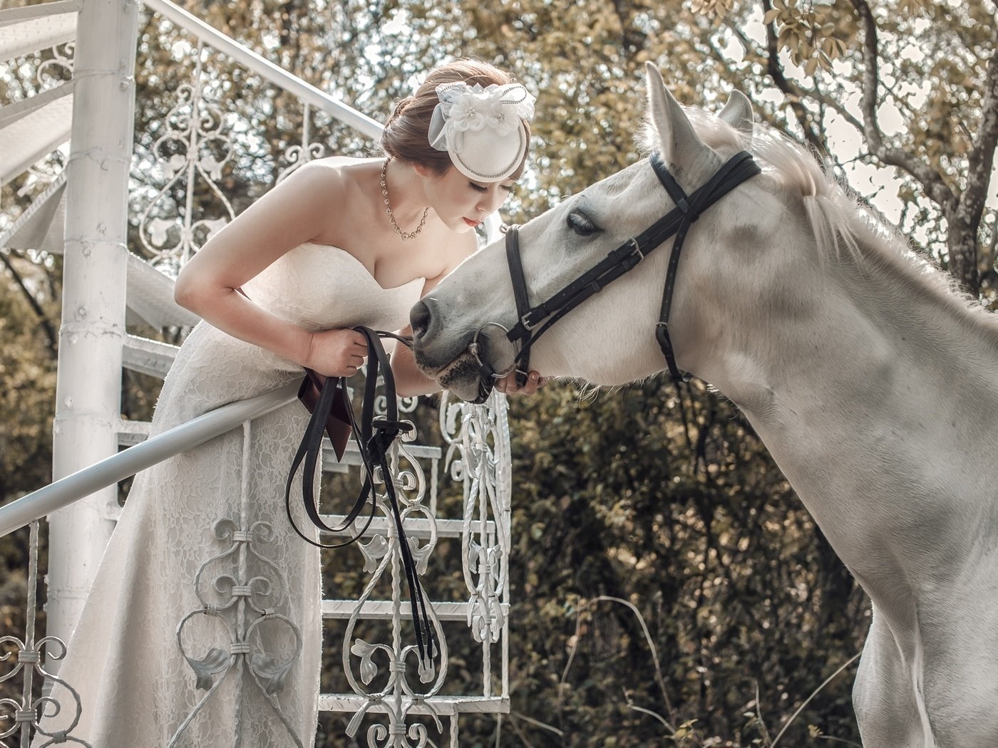 Обои лошадь, белый, конь, азиатка, невеста, horse, white, asian, the bride разрешение 1920x1213 Загрузить