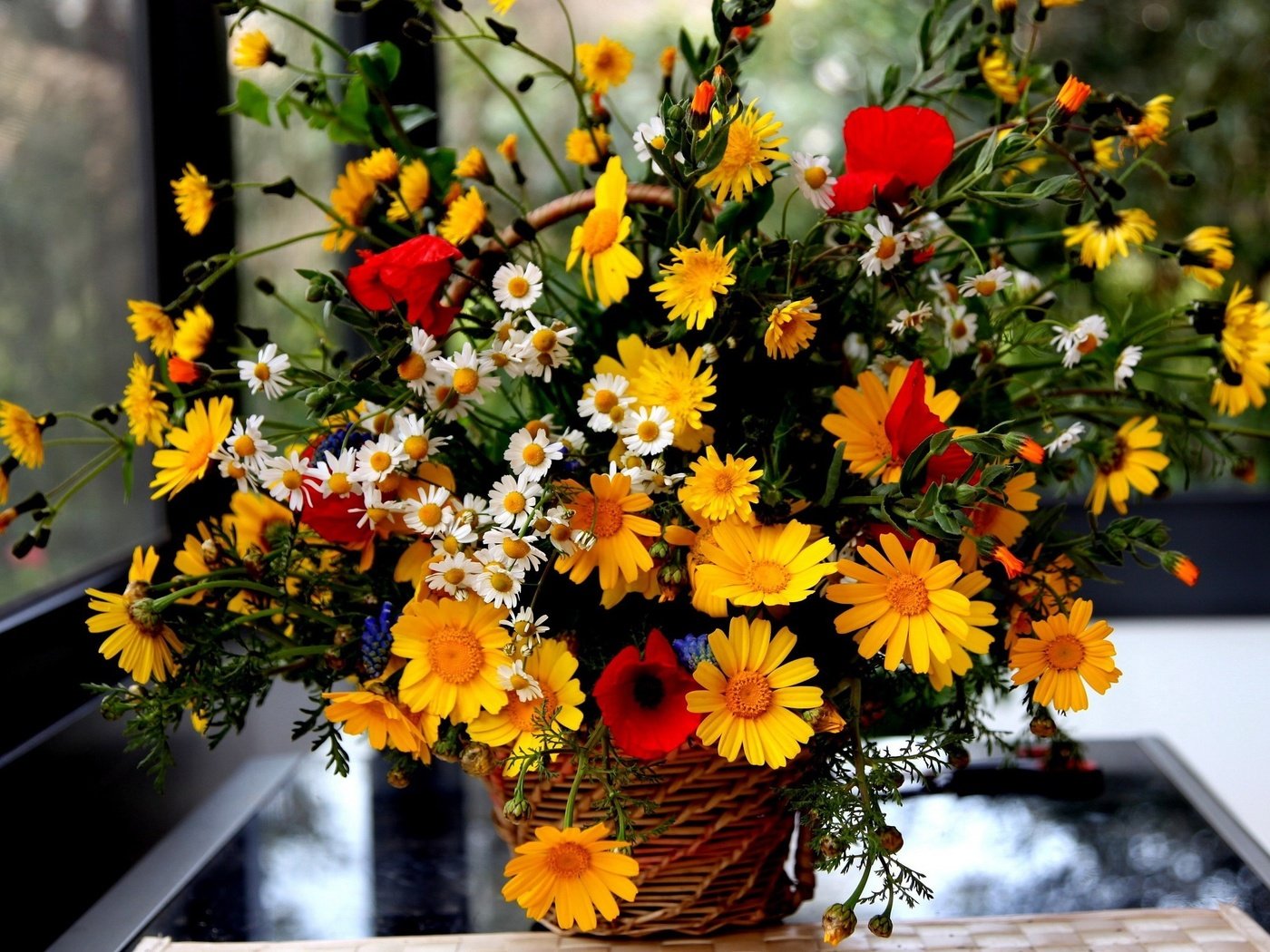 Обои цветы, букет, окно, корзинка, flowers, bouquet, window, basket разрешение 2560x1600 Загрузить