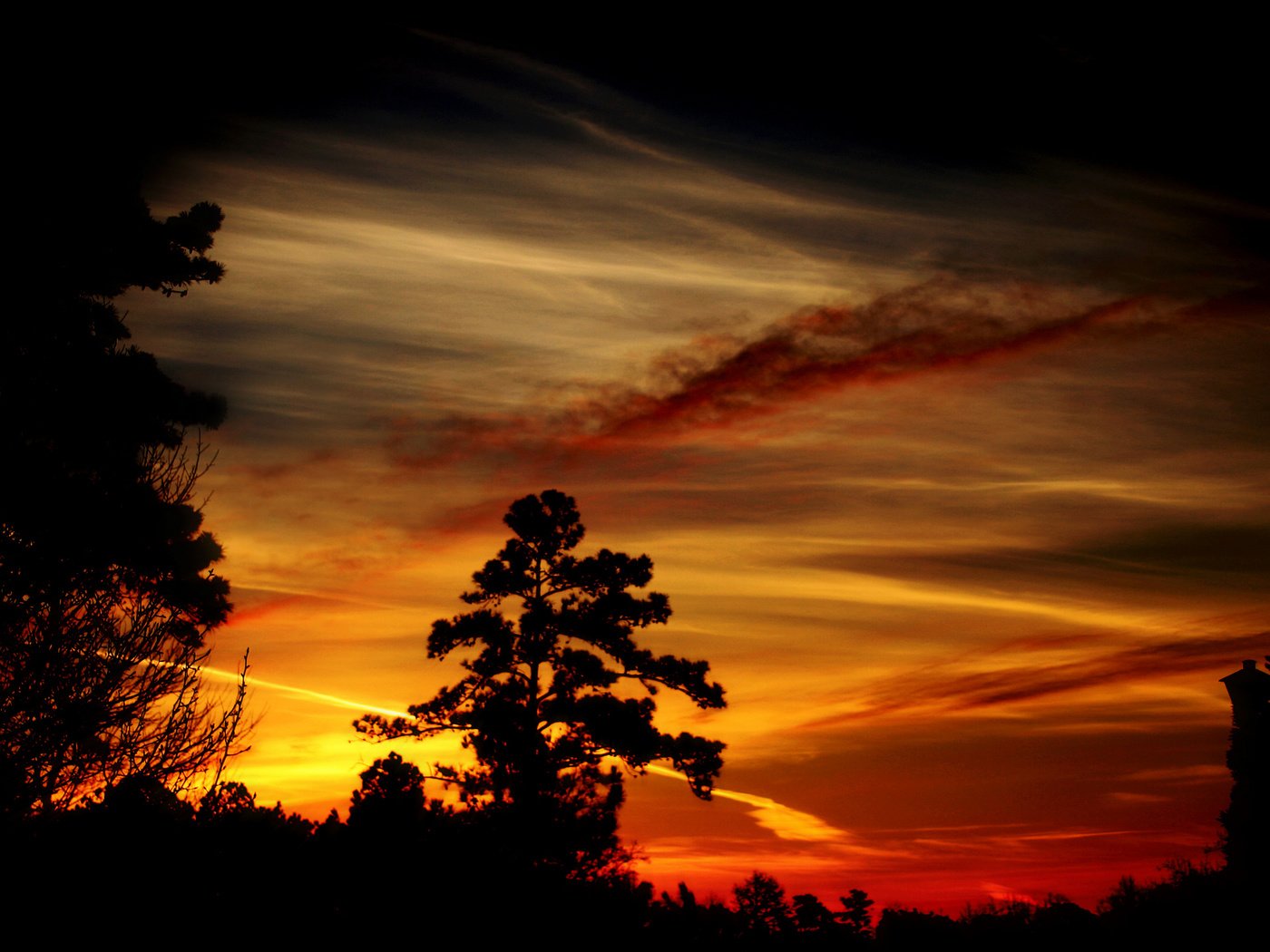 Обои деревья, вечер, закат, силуэты, тёмные, trees, the evening, sunset, silhouettes, dark разрешение 2560x1600 Загрузить