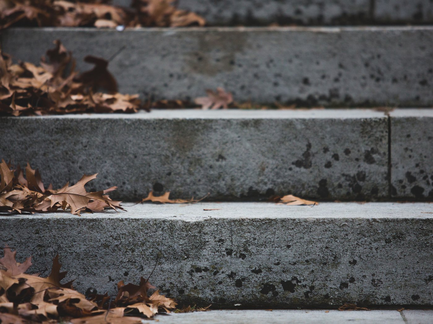 Обои природа, листья, лестница, ступеньки, осень, сухие, nature, leaves, ladder, steps, autumn, dry разрешение 2048x1365 Загрузить