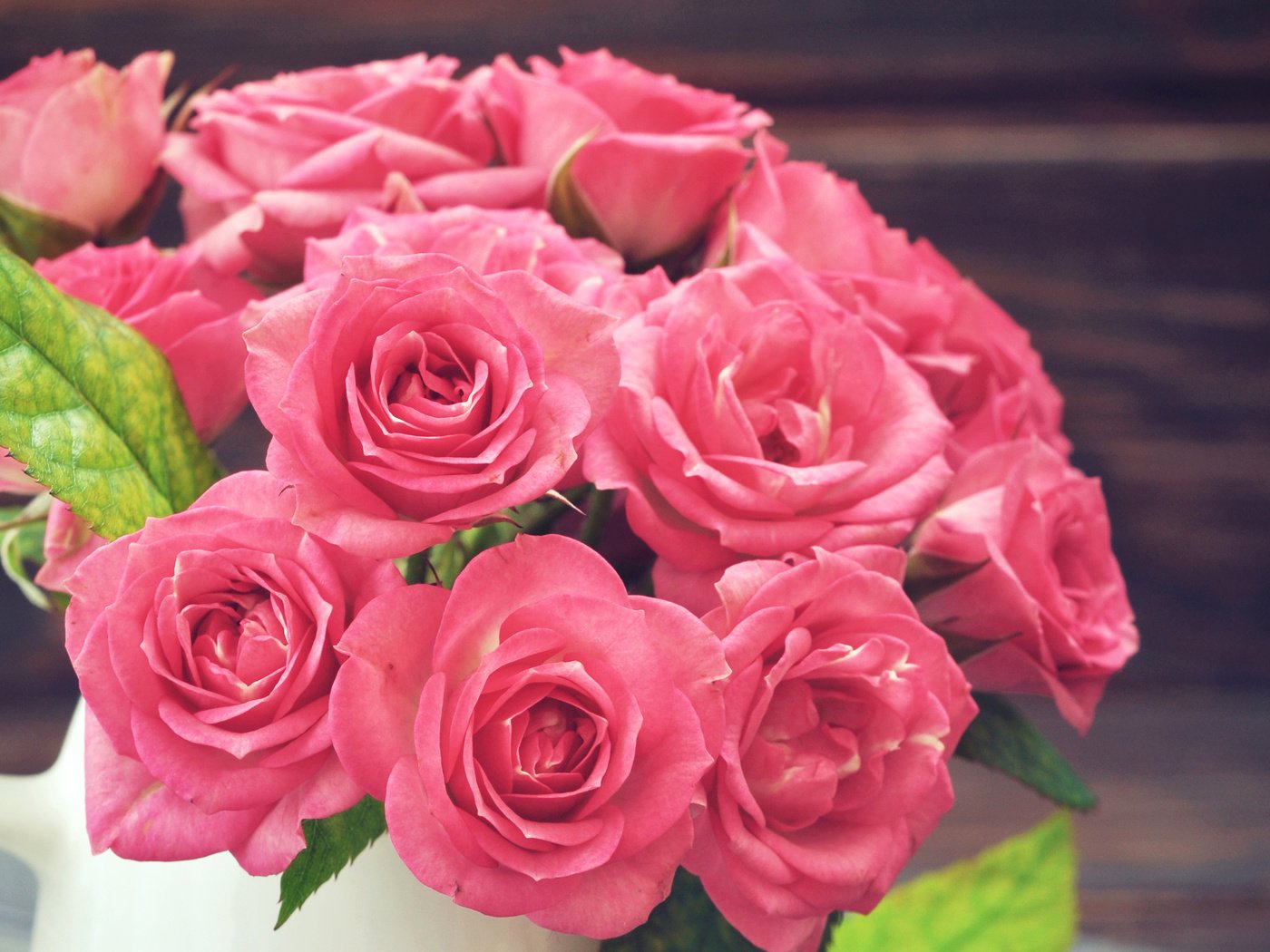 Обои розы, розовые, окрас, крупным планом, роз, пинк, roses, pink, color, closeup разрешение 4000x2856 Загрузить