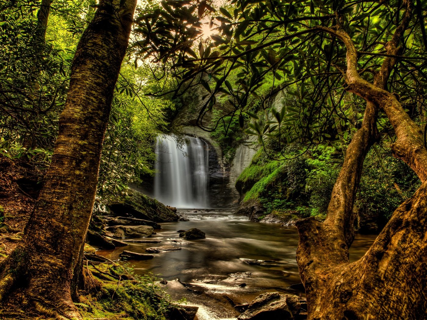 Обои деревья, сша, солнце, мох, камни, pisgah national forest, лес, ручей, ветки, водопад, обработка, trees, usa, the sun, moss, stones, forest, stream, branches, waterfall, treatment разрешение 2880x1920 Загрузить