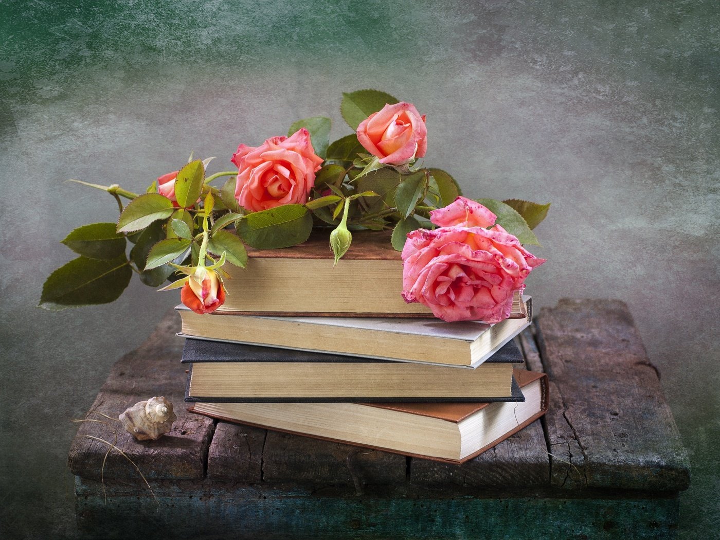 Обои цветы, розы, книги, доски, ракушка, натюрморт, композиция, flowers, roses, books, board, shell, still life, composition разрешение 3008x2000 Загрузить