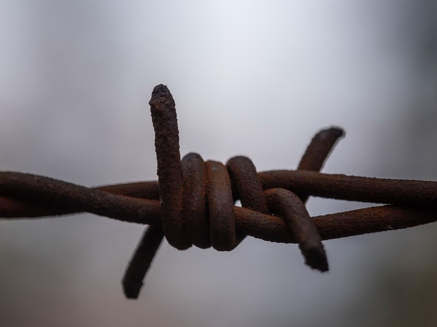 Обои макро, фон, проволока, забор, колючая проволока, macro, background, wire, the fence, barbed wire разрешение 2047x1285 Загрузить