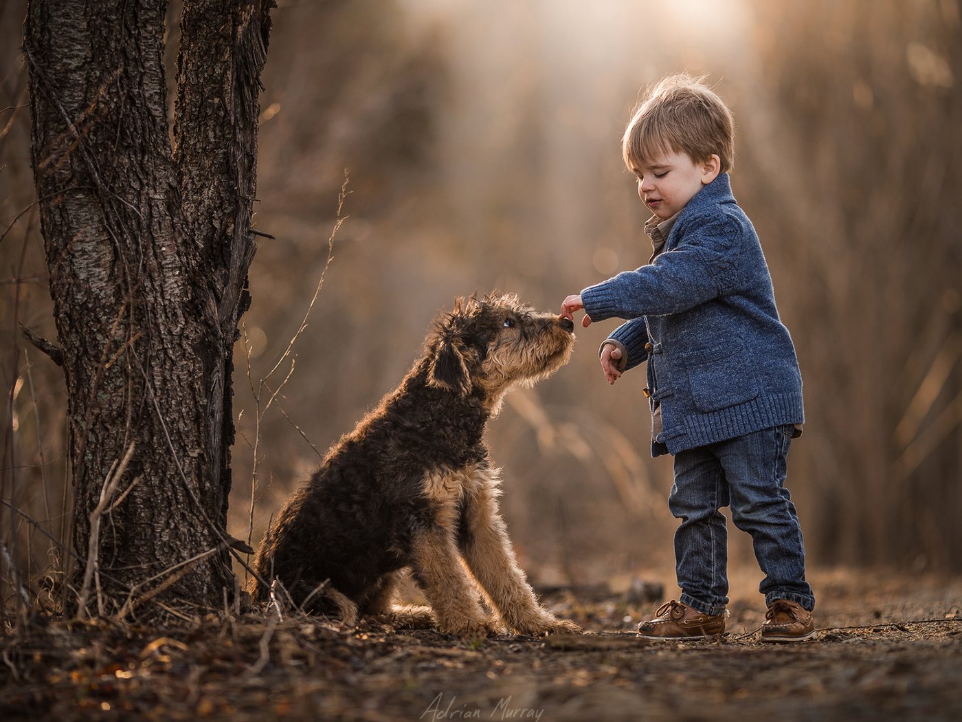 Обои собака, мальчик, друзья, dog, boy, friends разрешение 1920x1200 Загрузить