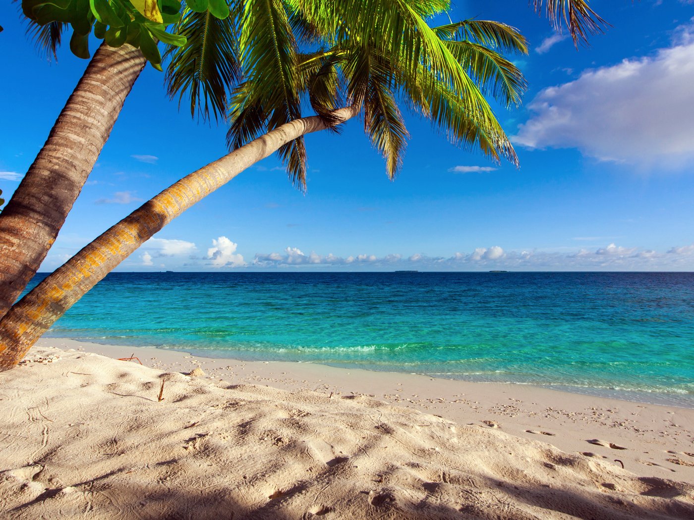 Обои море, песок, пляж, пальмы, отдых, тропики, круиз, sea, sand, beach, palm trees, stay, tropics, cruise разрешение 6440x3623 Загрузить