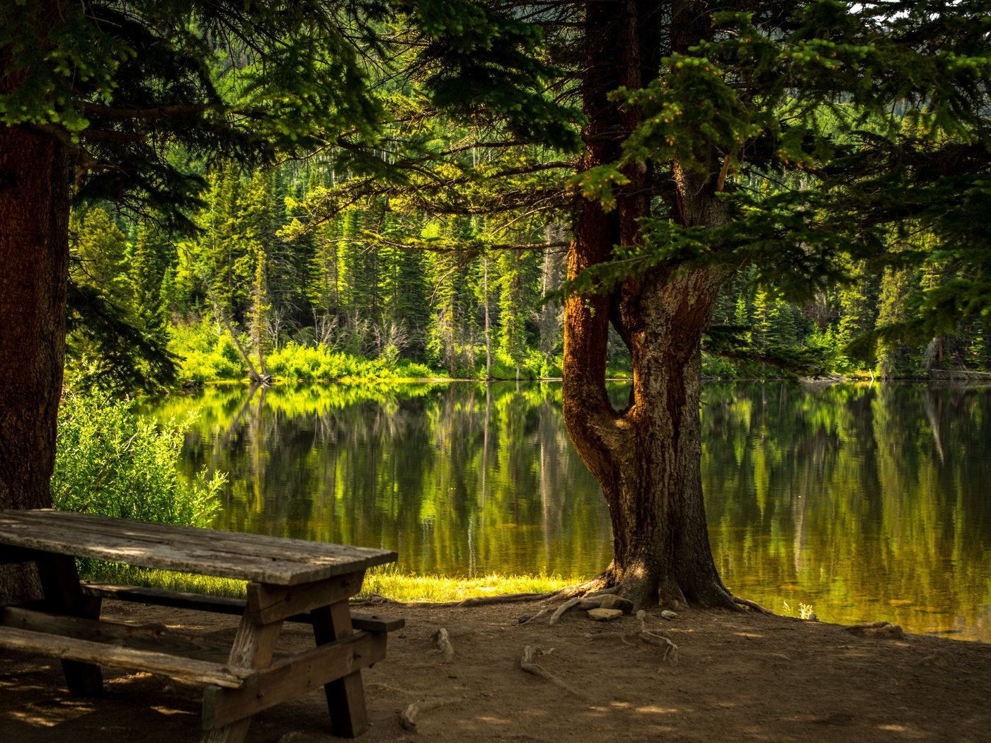 Обои деревья, вода, озеро, природа, лес, стол, скамейка, trees, water, lake, nature, forest, table, bench разрешение 6016x4016 Загрузить