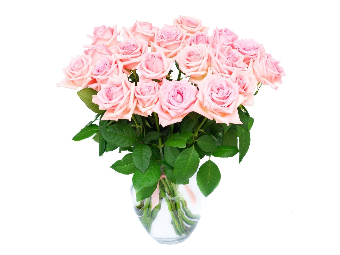 Обои пинк, цветы, розы, букет, ваза, романтик,  цветы, розовые розы, роз, влюбленная, pink, flowers, roses, bouquet, vase, romantic, pink roses, love разрешение 4000x2665 Загрузить