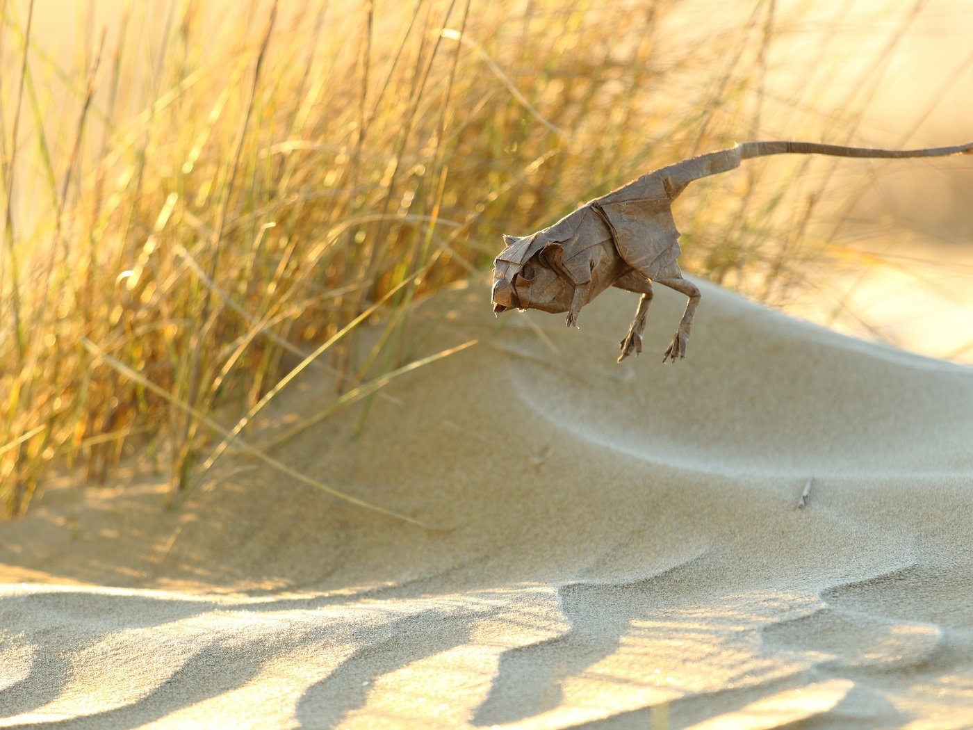 Обои бумага, оригами, животное, jerbo pigmeo de baluchistan, тушканчик, paper, origami, animal, jerboa разрешение 2560x1707 Загрузить