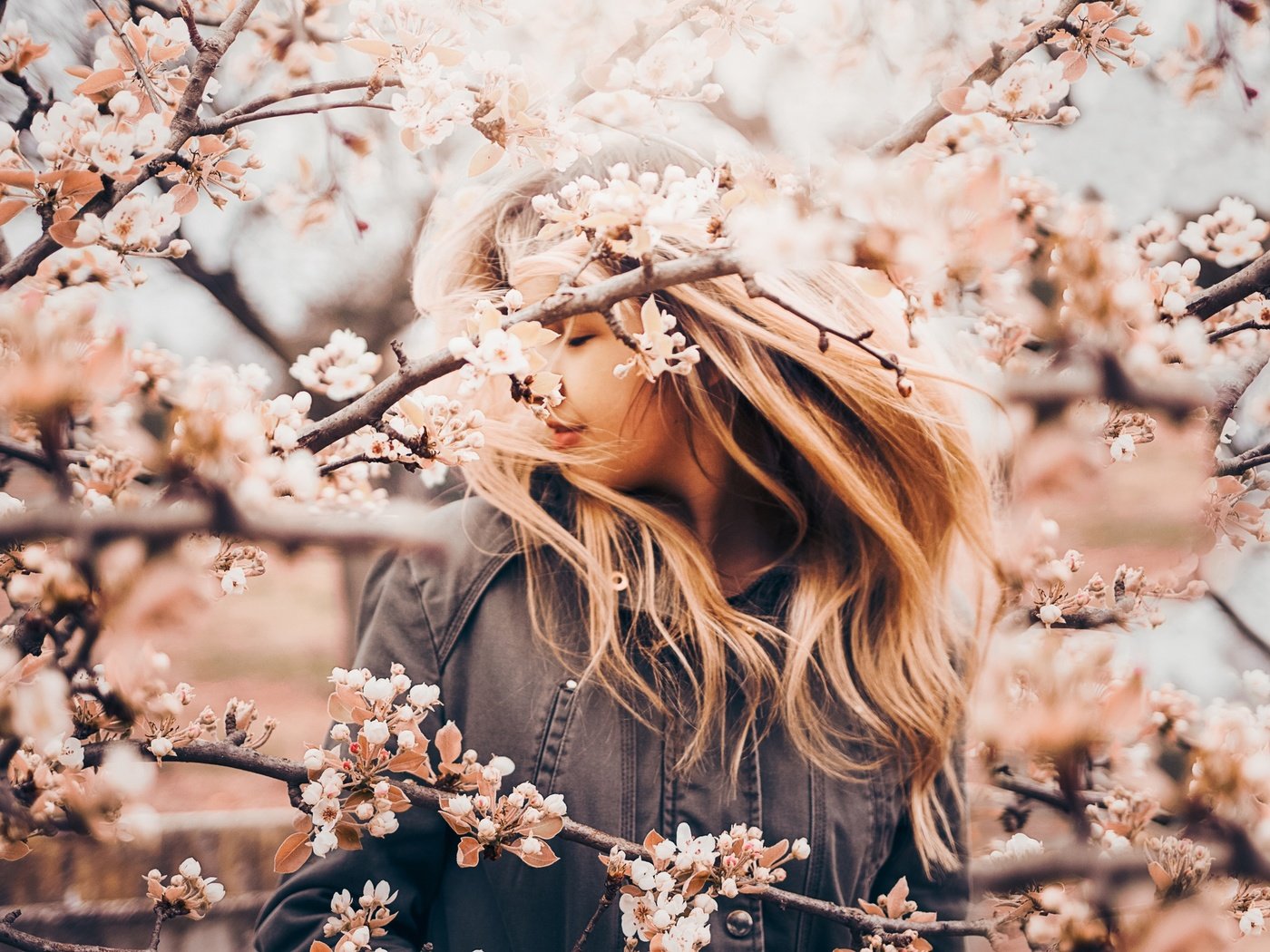 Обои цветение, девушка, настроение, ветки, весна, яблоня, flowering, girl, mood, branches, spring, apple разрешение 2560x1707 Загрузить